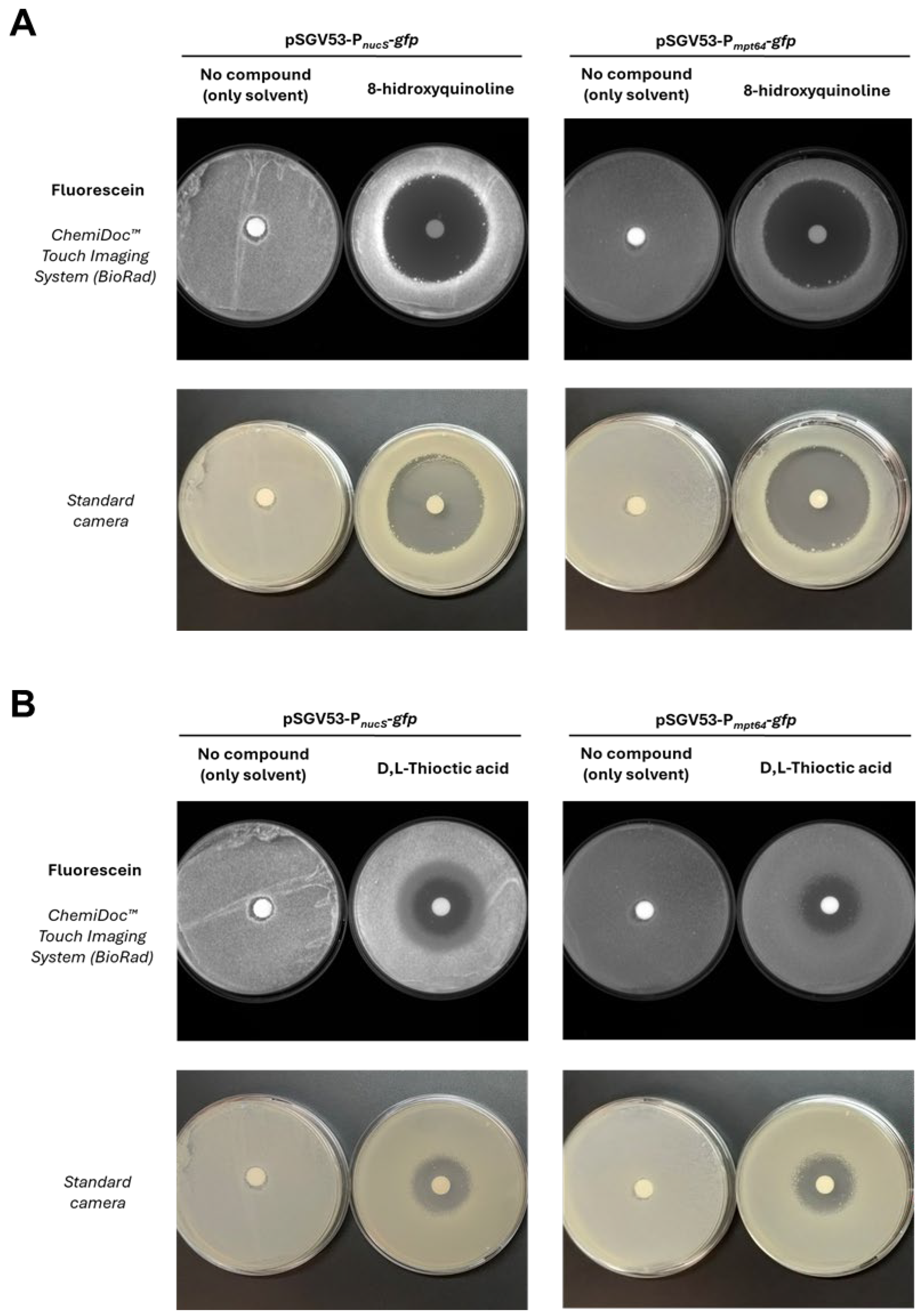 Antibiotics 14 01065 g007