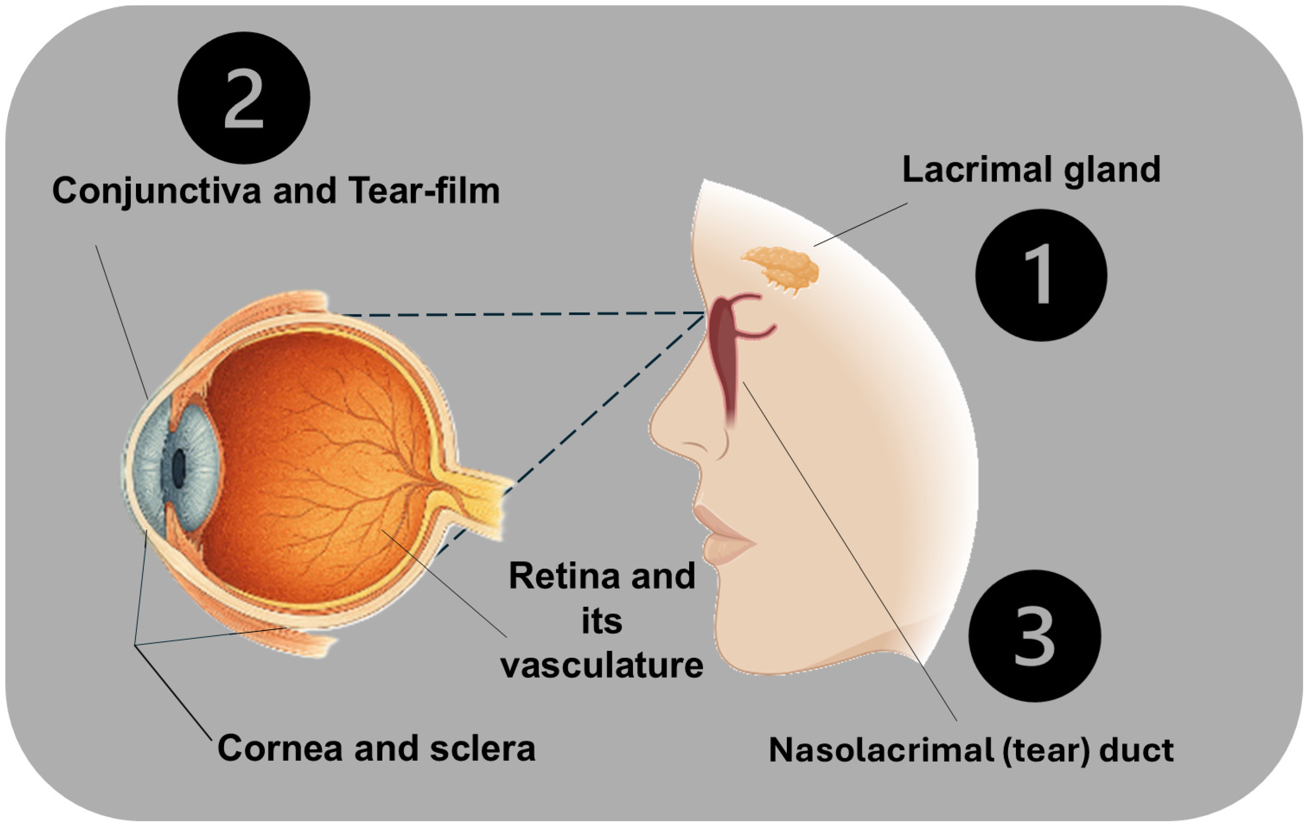 Antibiotics 14 01069 g002