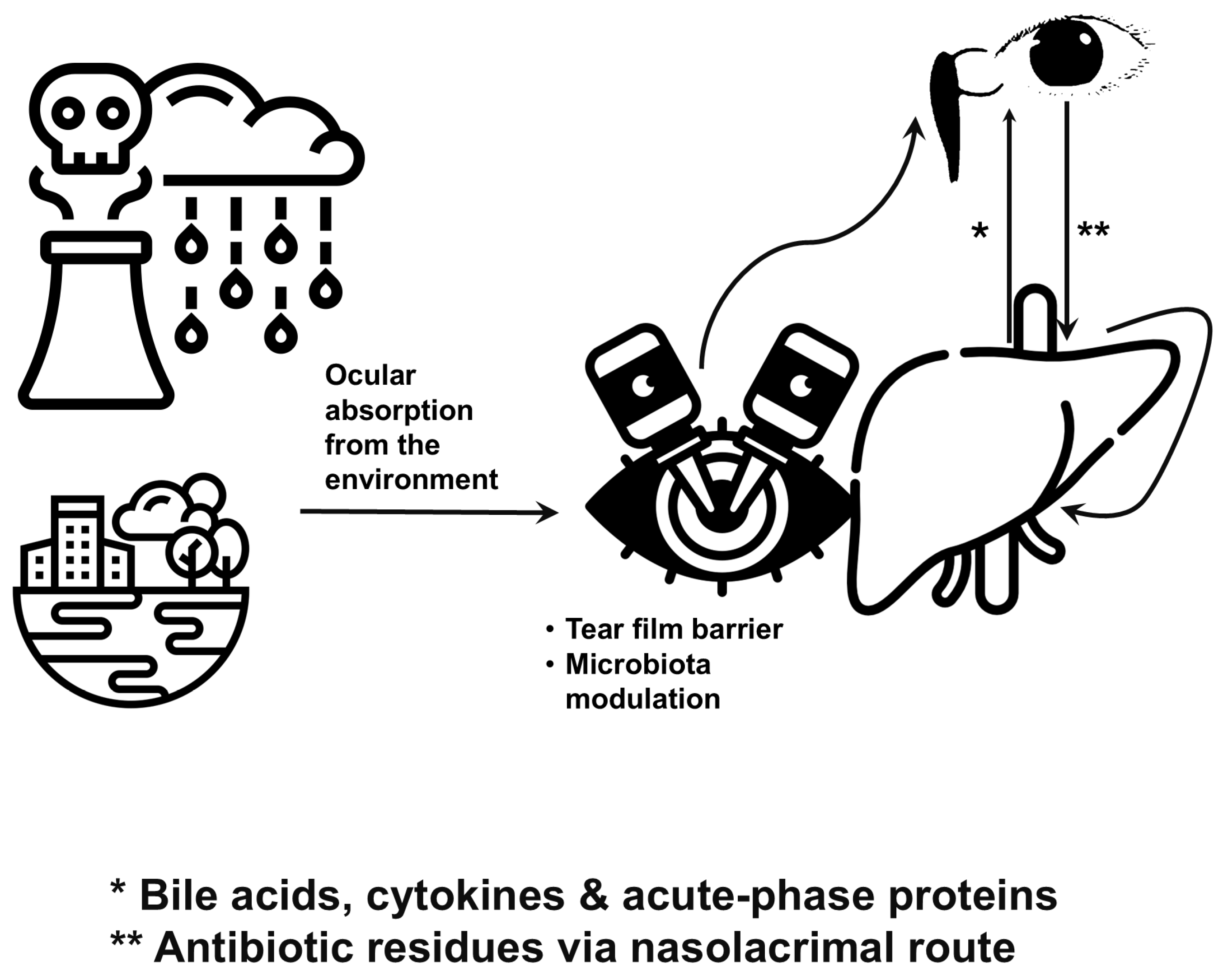 Antibiotics 14 01069 g004