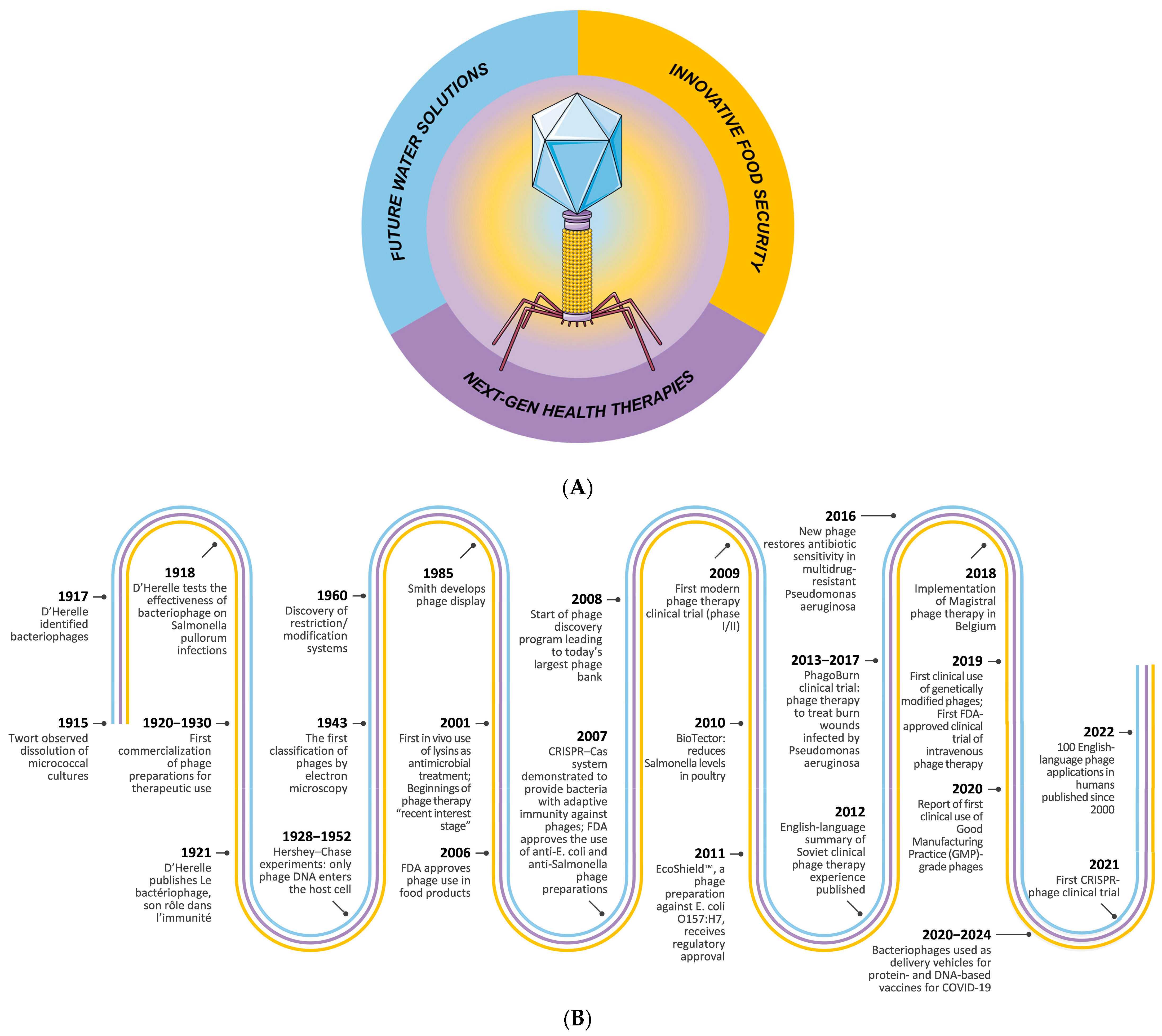 Antibiotics 14 01080 g001 Antibiotics 14 01080 g001