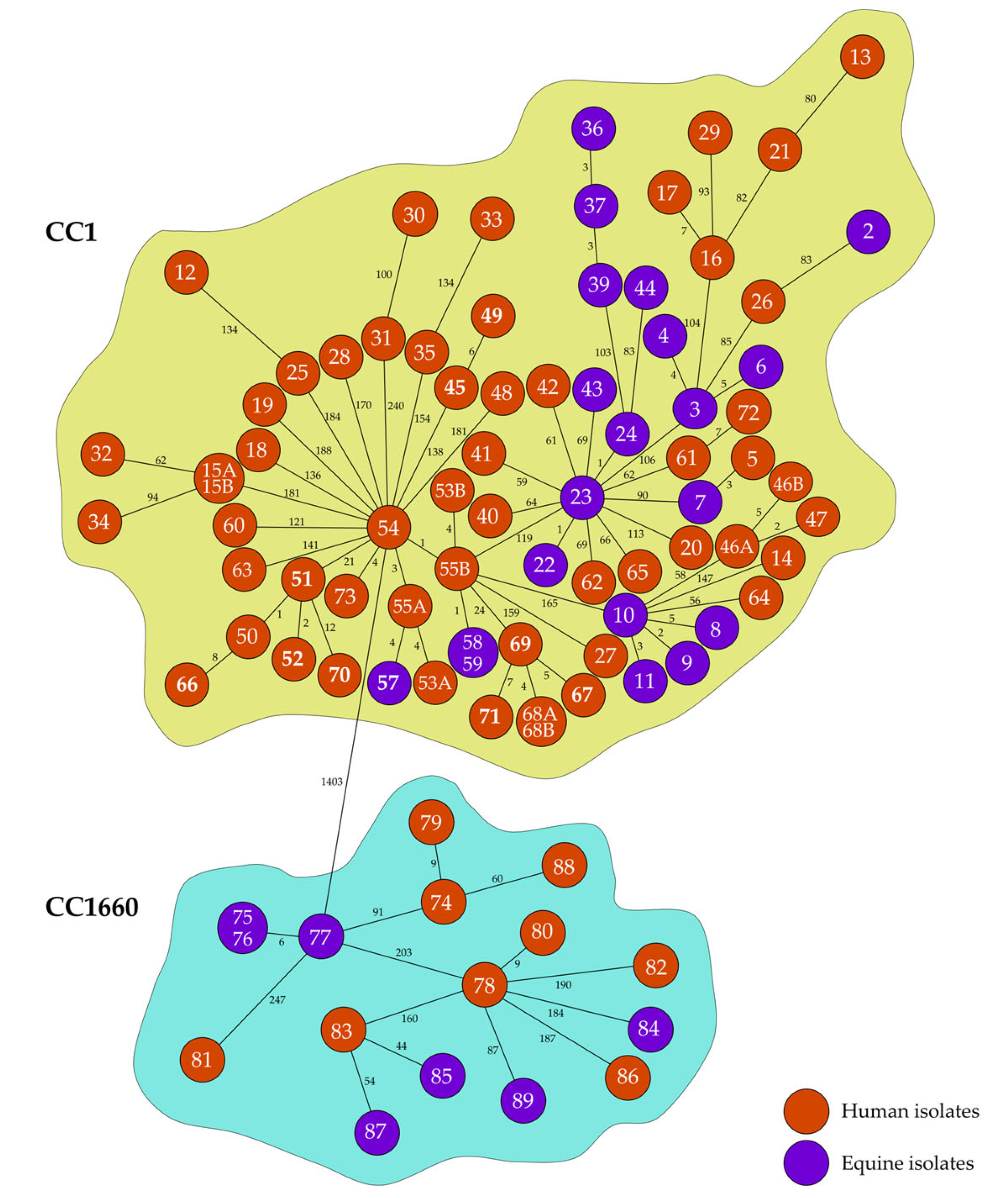 Antibiotics 14 01082 g001 Antibiotics 14 01082 g001