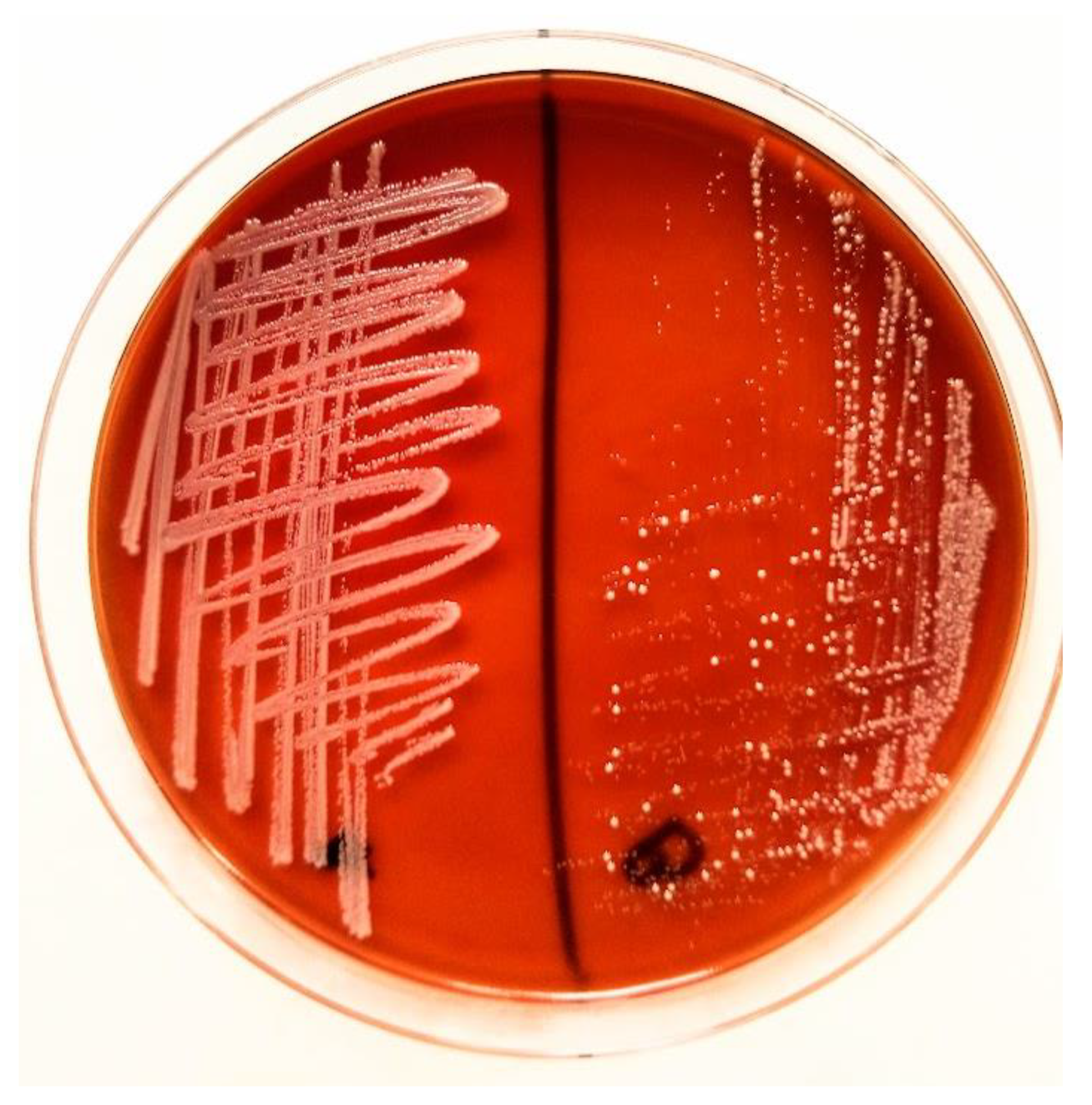 Antibiotics 14 01089 g002 Antibiotics 14 01089 g002