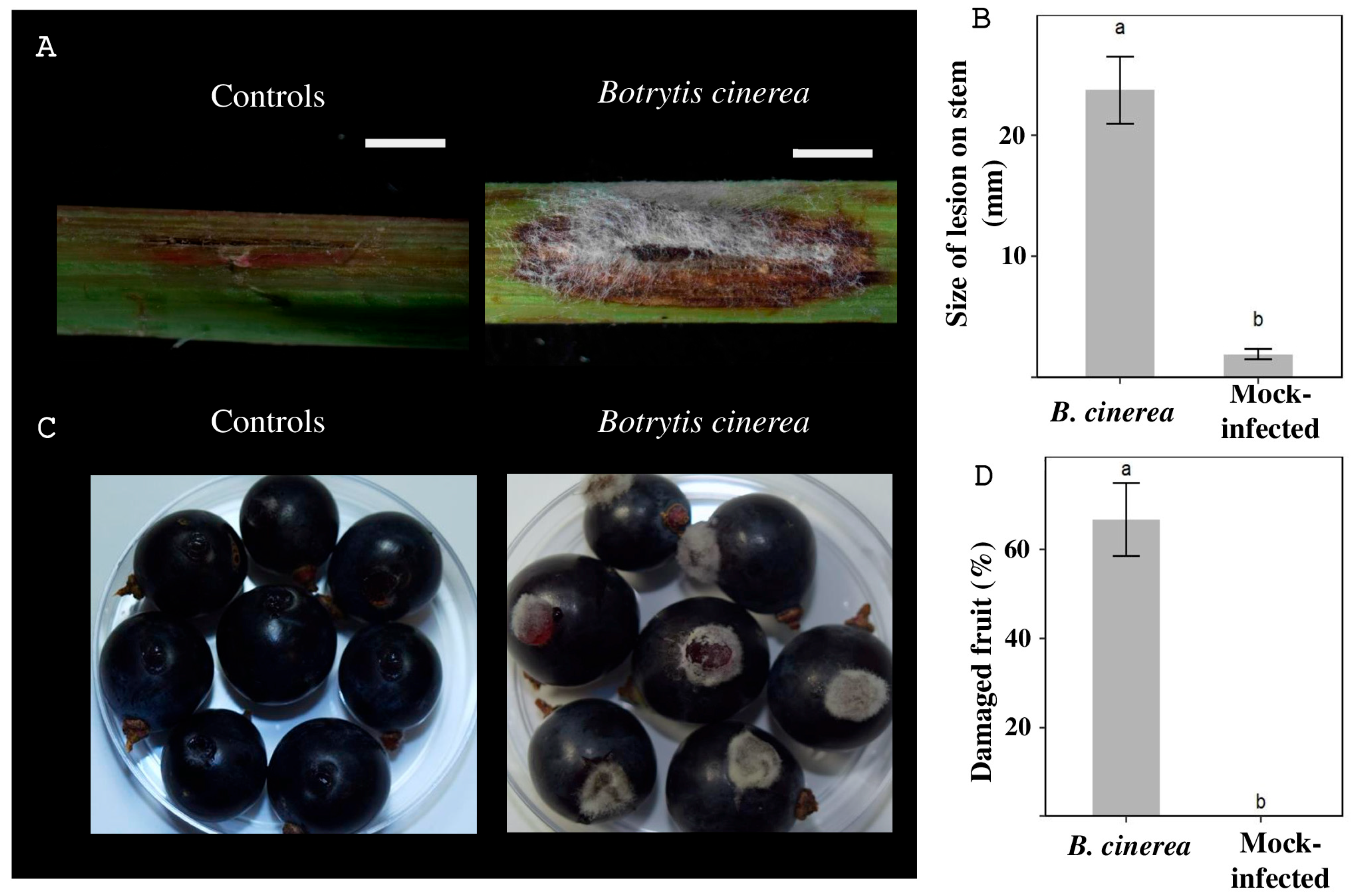 Antibiotics 14 01099 g002