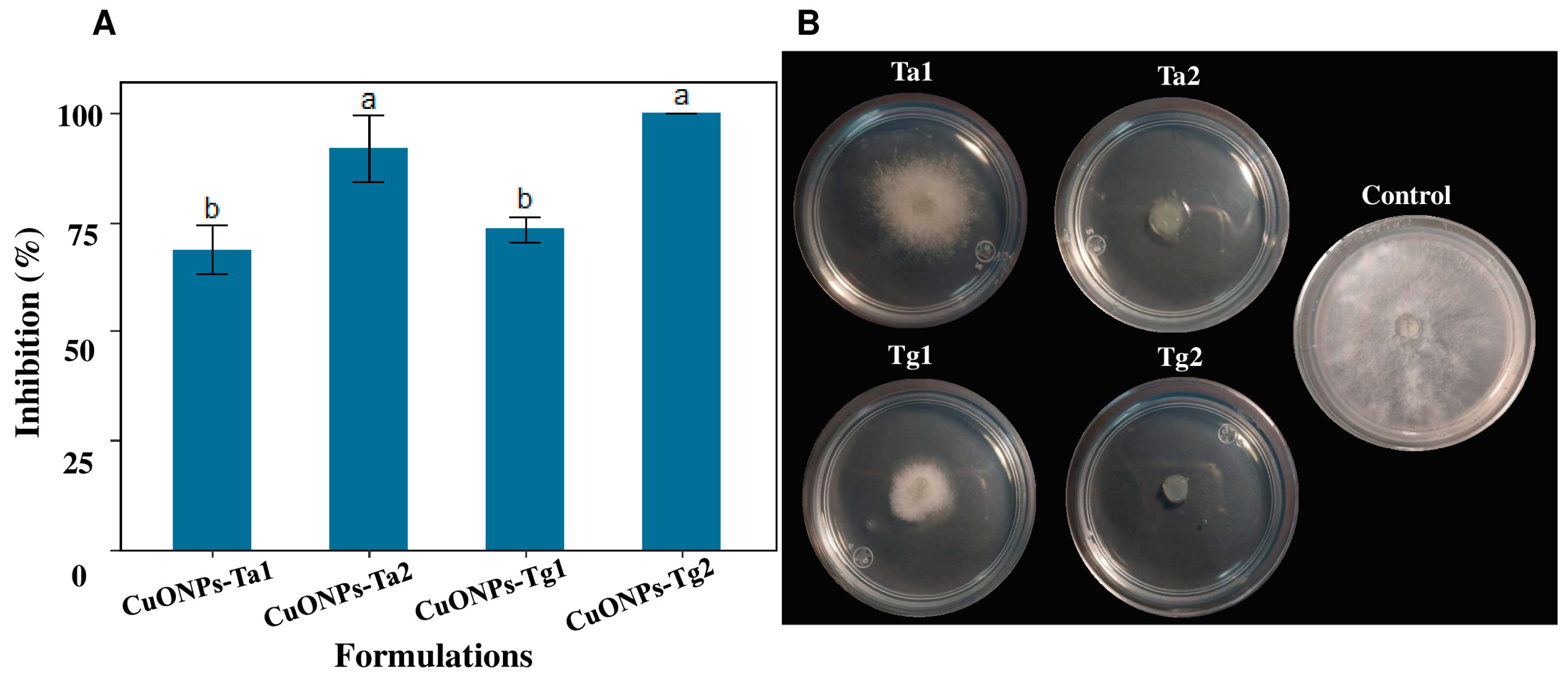 Antibiotics 14 01099 g007