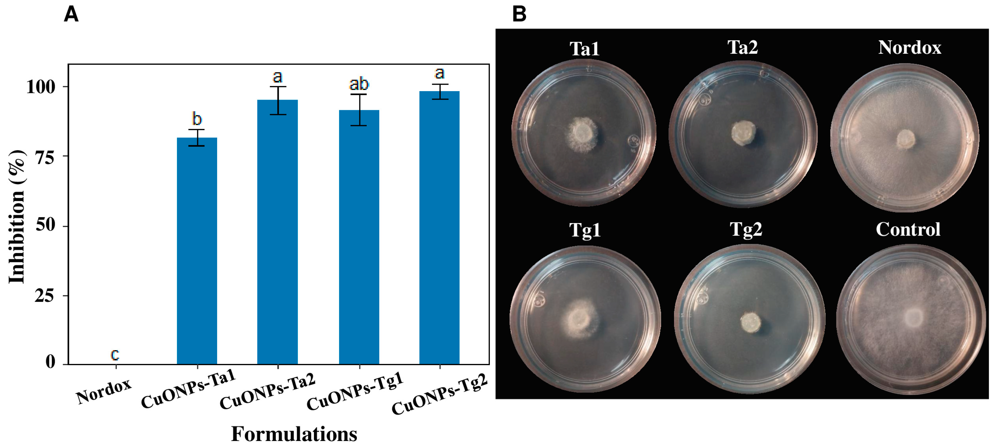 Antibiotics 14 01099 g008