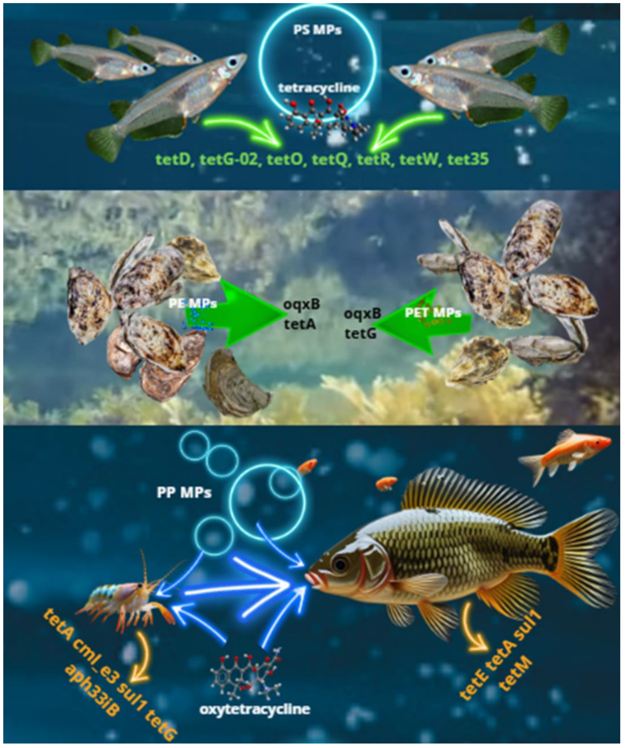 Antibiotics 14 01106 g002 Antibiotics 14 01106 g002