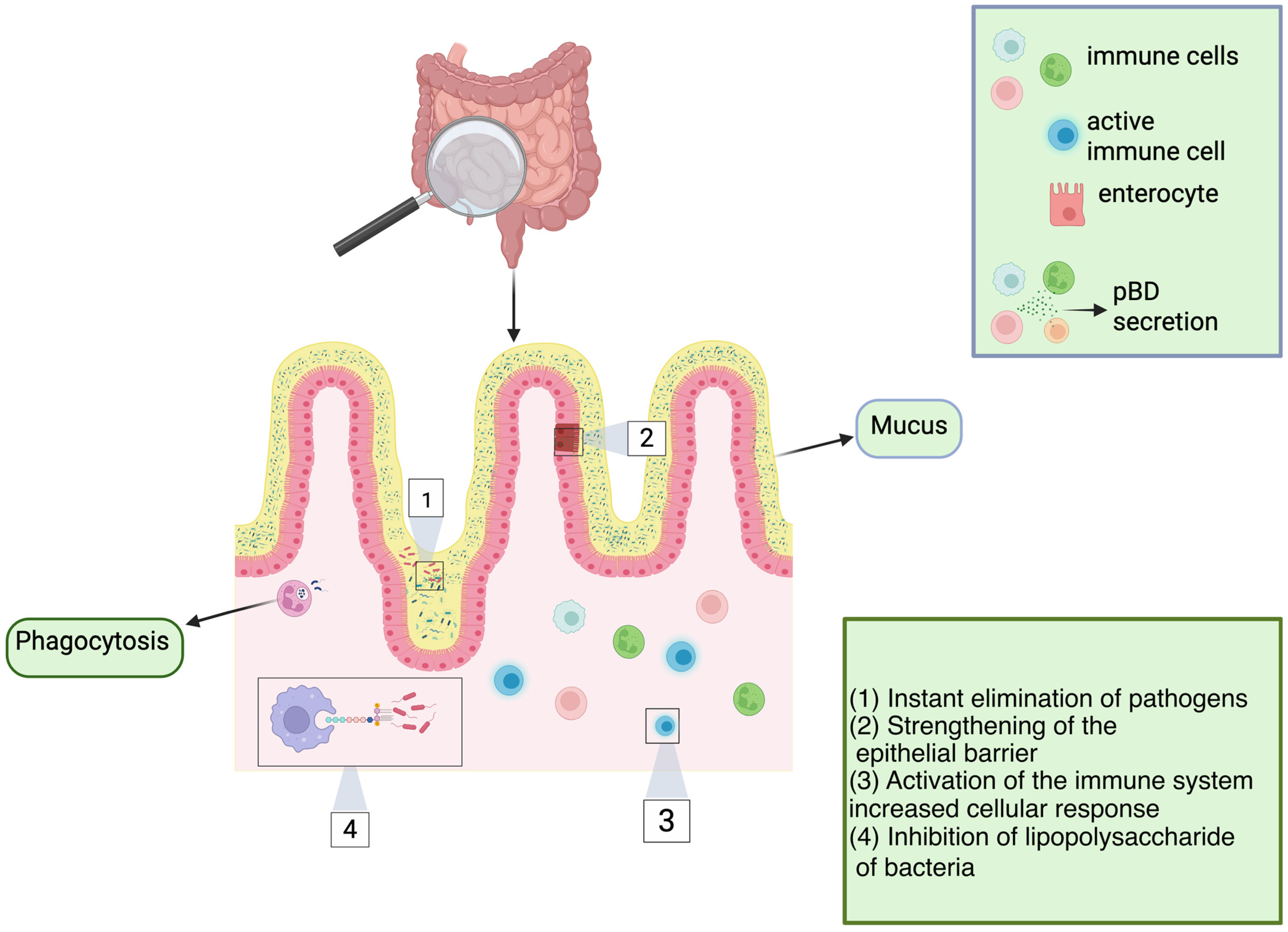 Antibiotics 14 01108 g004 Antibiotics 14 01108 g004