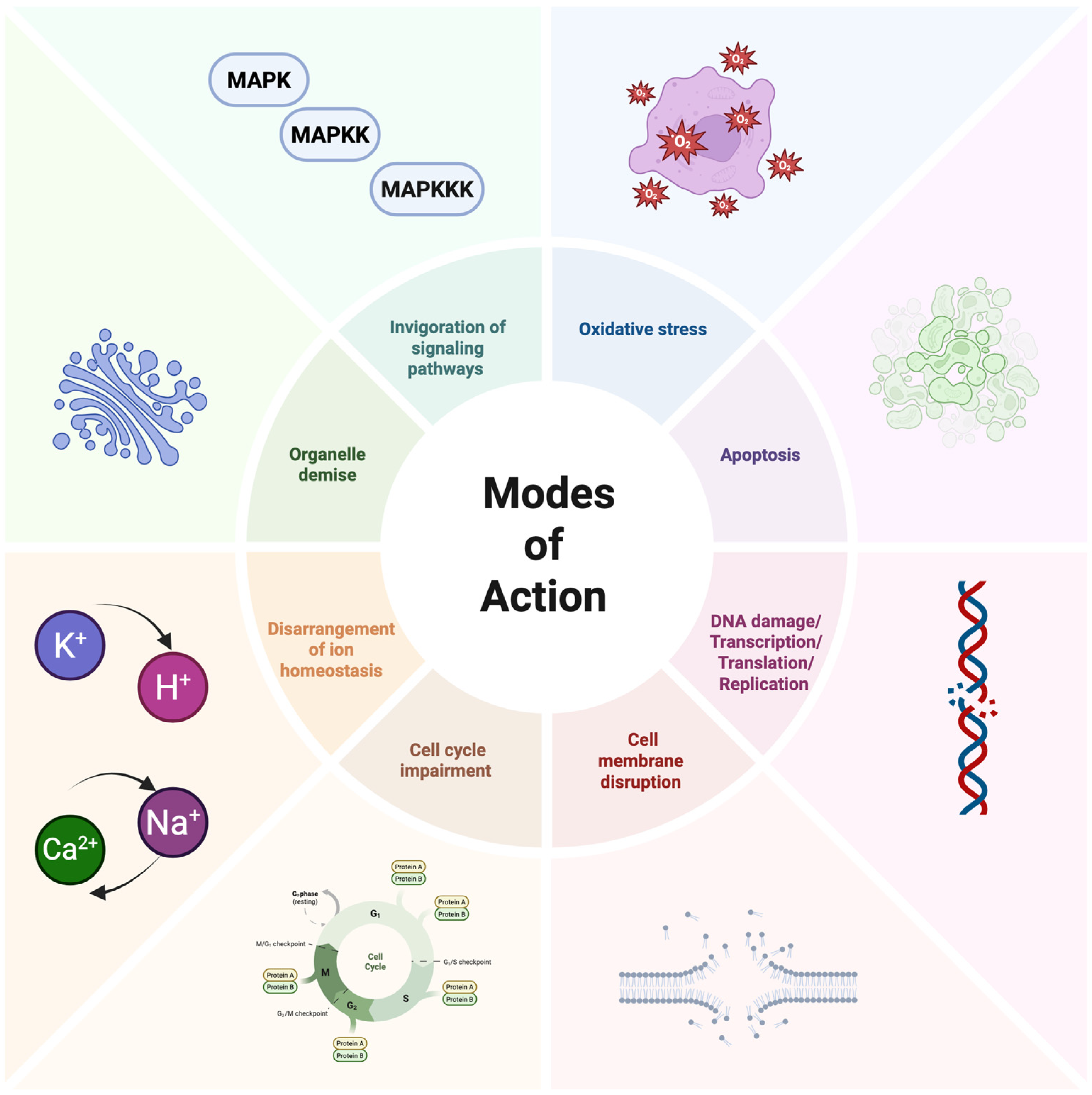 Antibiotics 14 01108 g005 Antibiotics 14 01108 g005