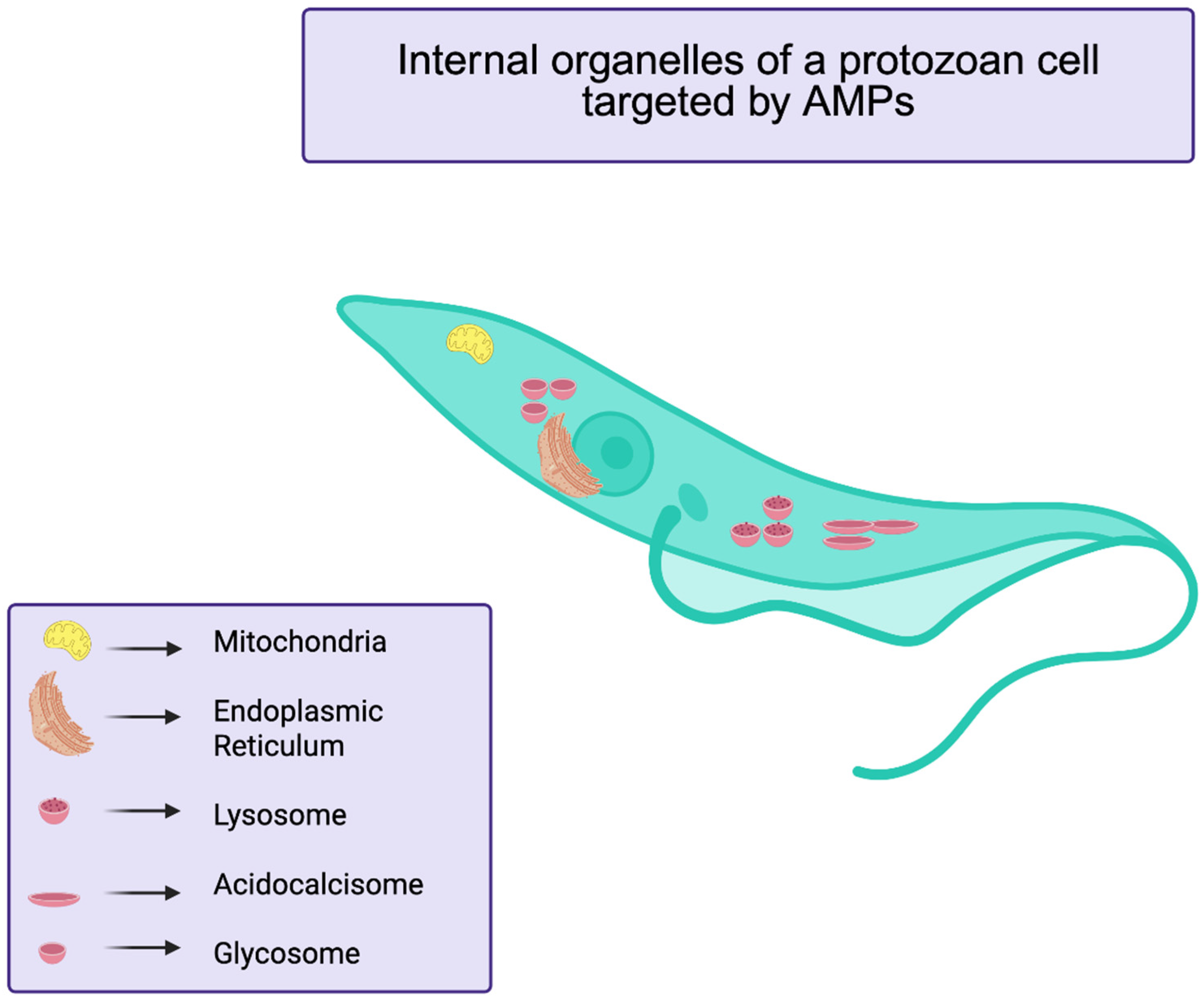 Antibiotics 14 01108 g006 Antibiotics 14 01108 g006