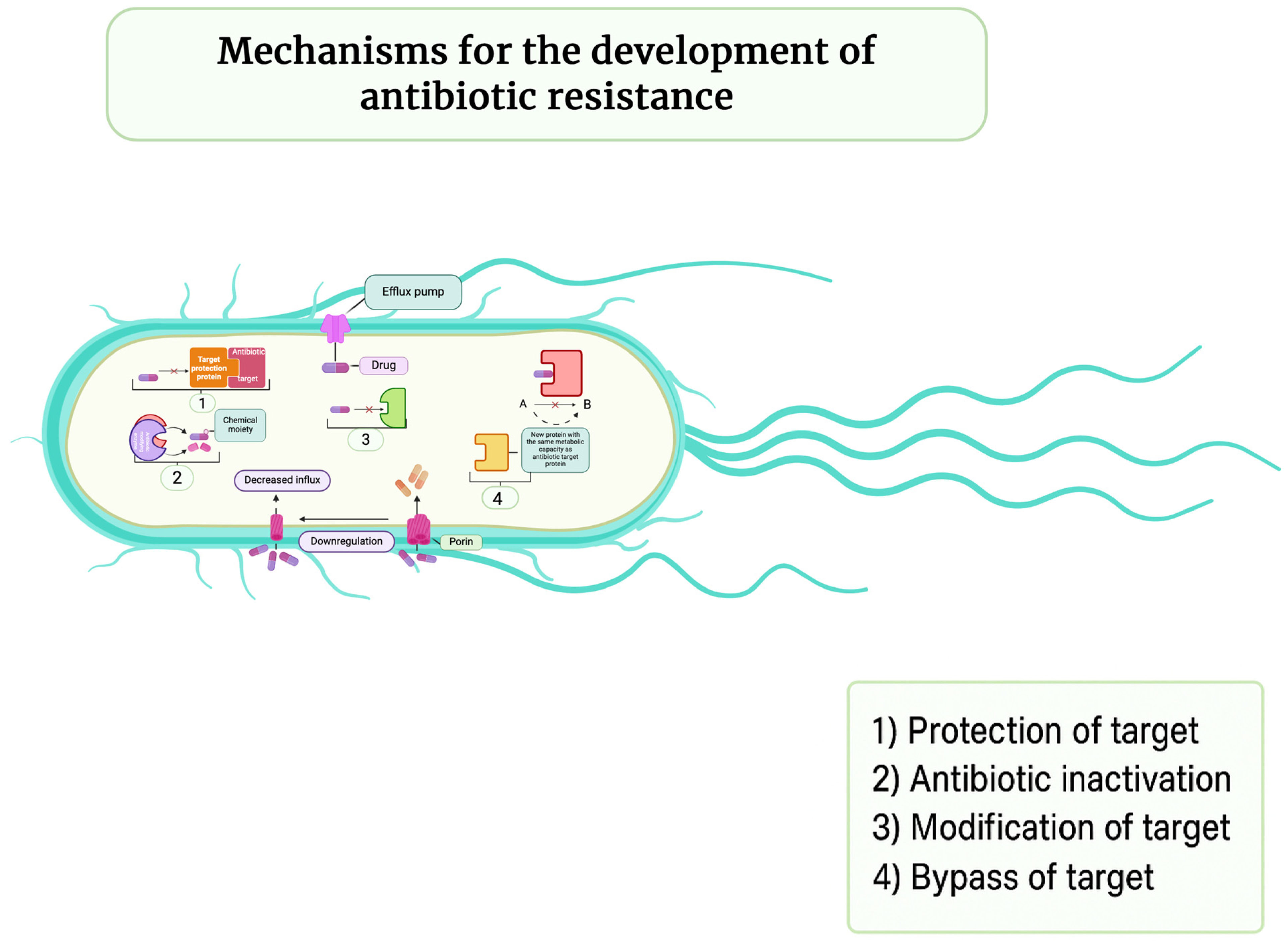 Antibiotics 14 01108 g007 Antibiotics 14 01108 g007