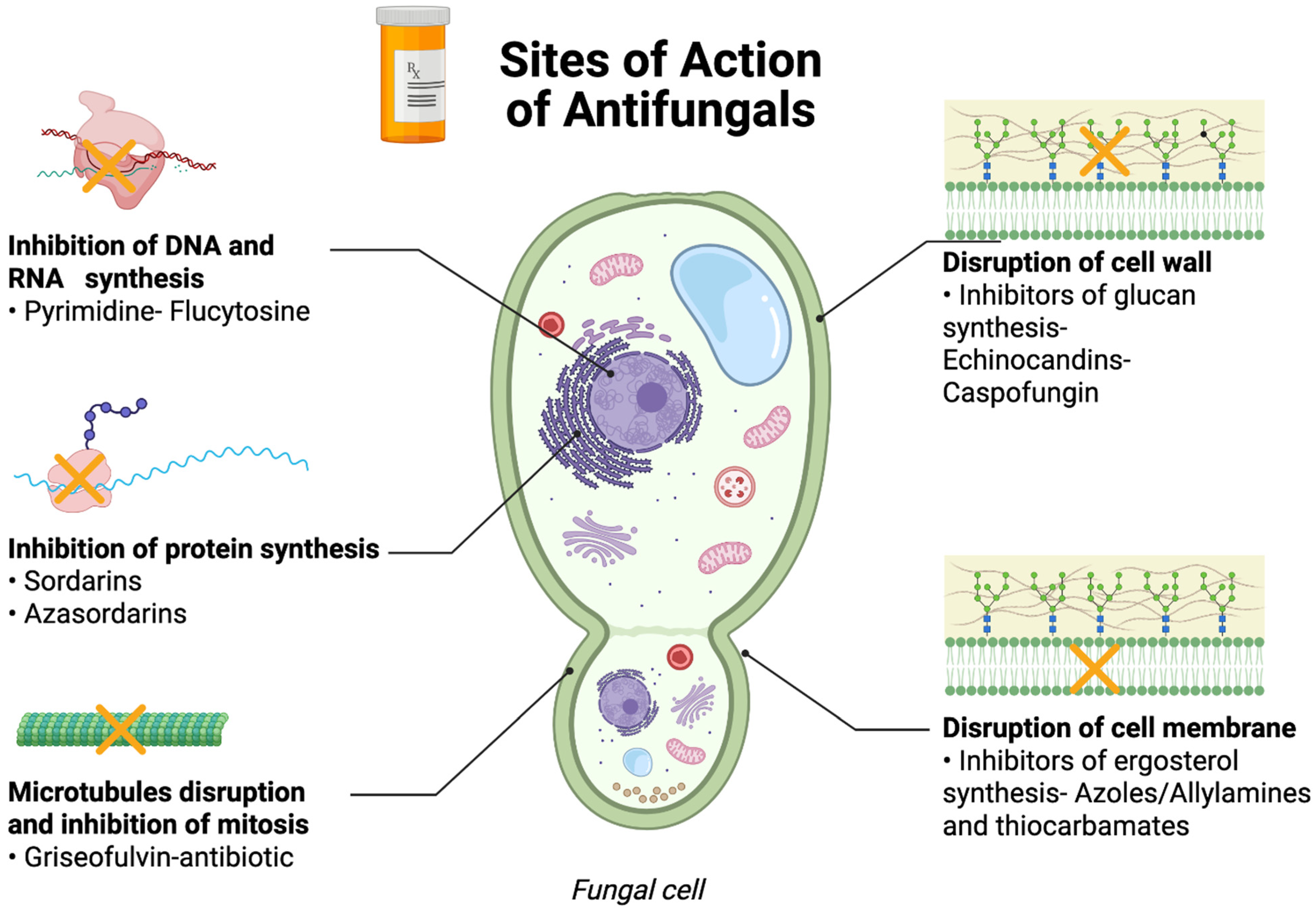 Antibiotics 14 01108 g008 Antibiotics 14 01108 g008
