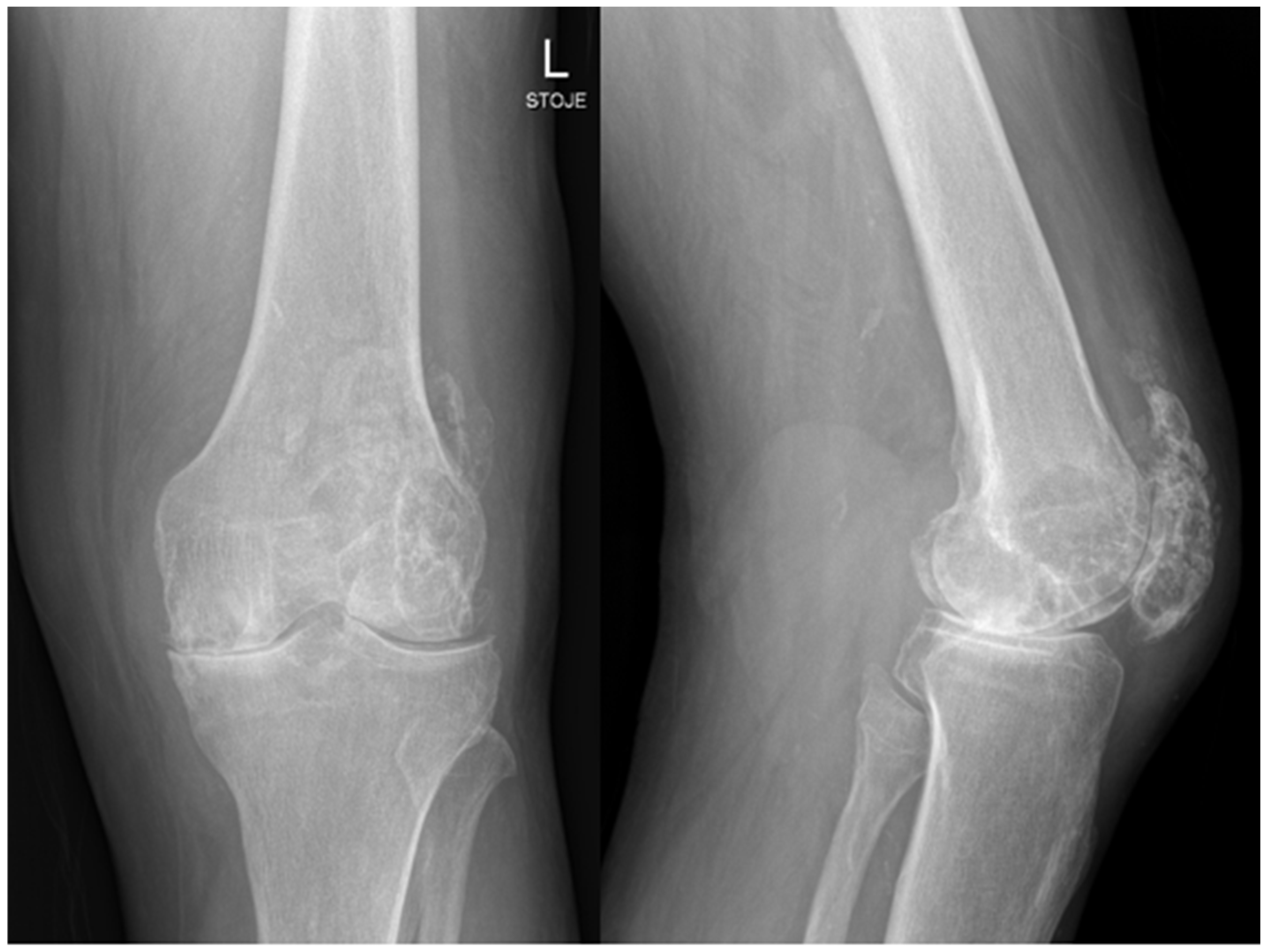 Antibiotics 14 01112 g001