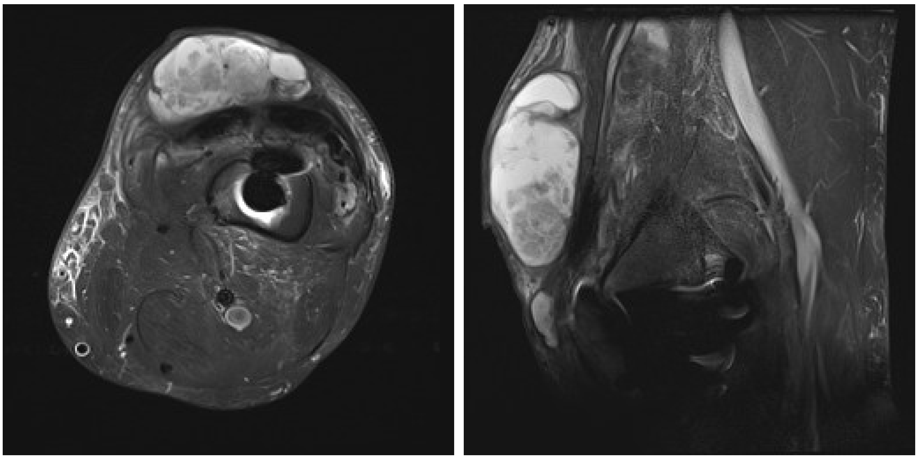Antibiotics 14 01112 g002