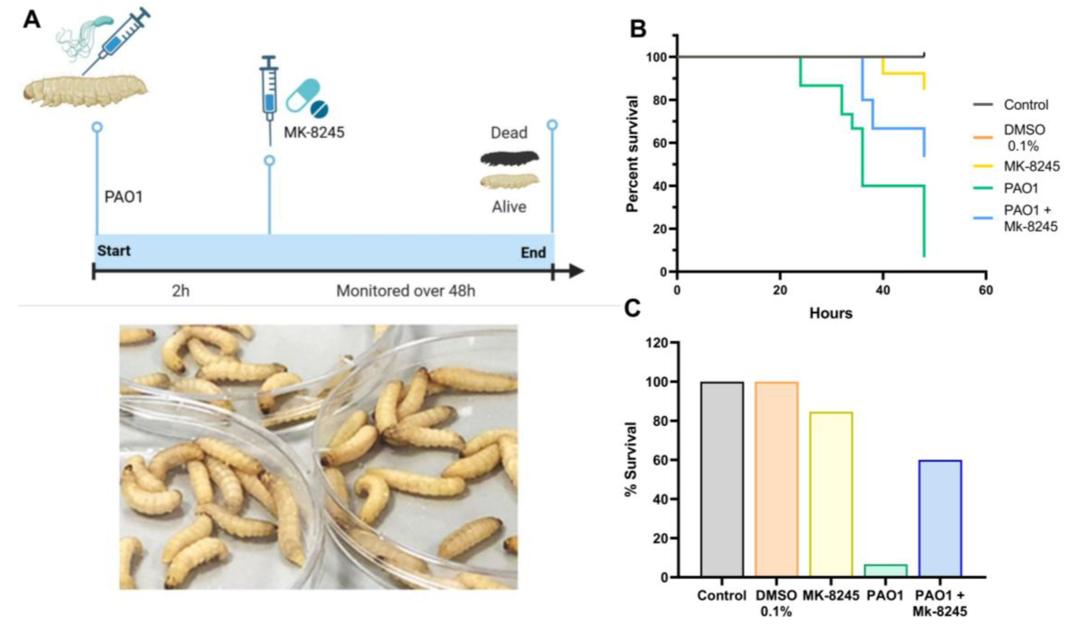 Antibiotics 14 01116 g005 Antibiotics 14 01116 g005