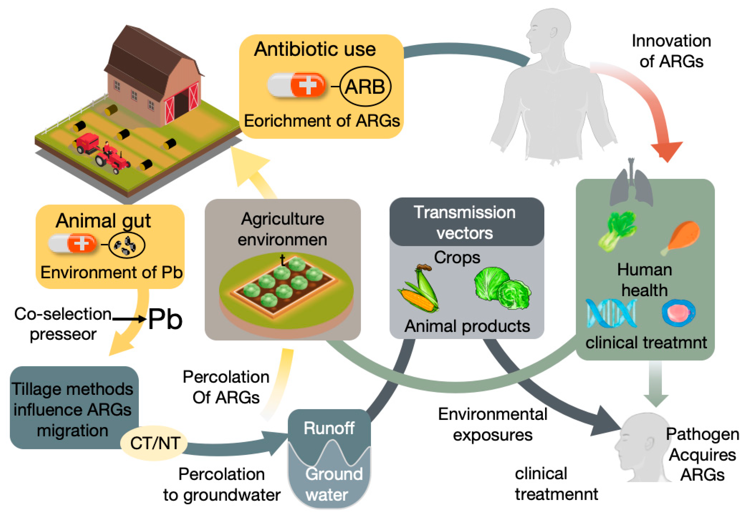 Antibiotics 14 01117 g001