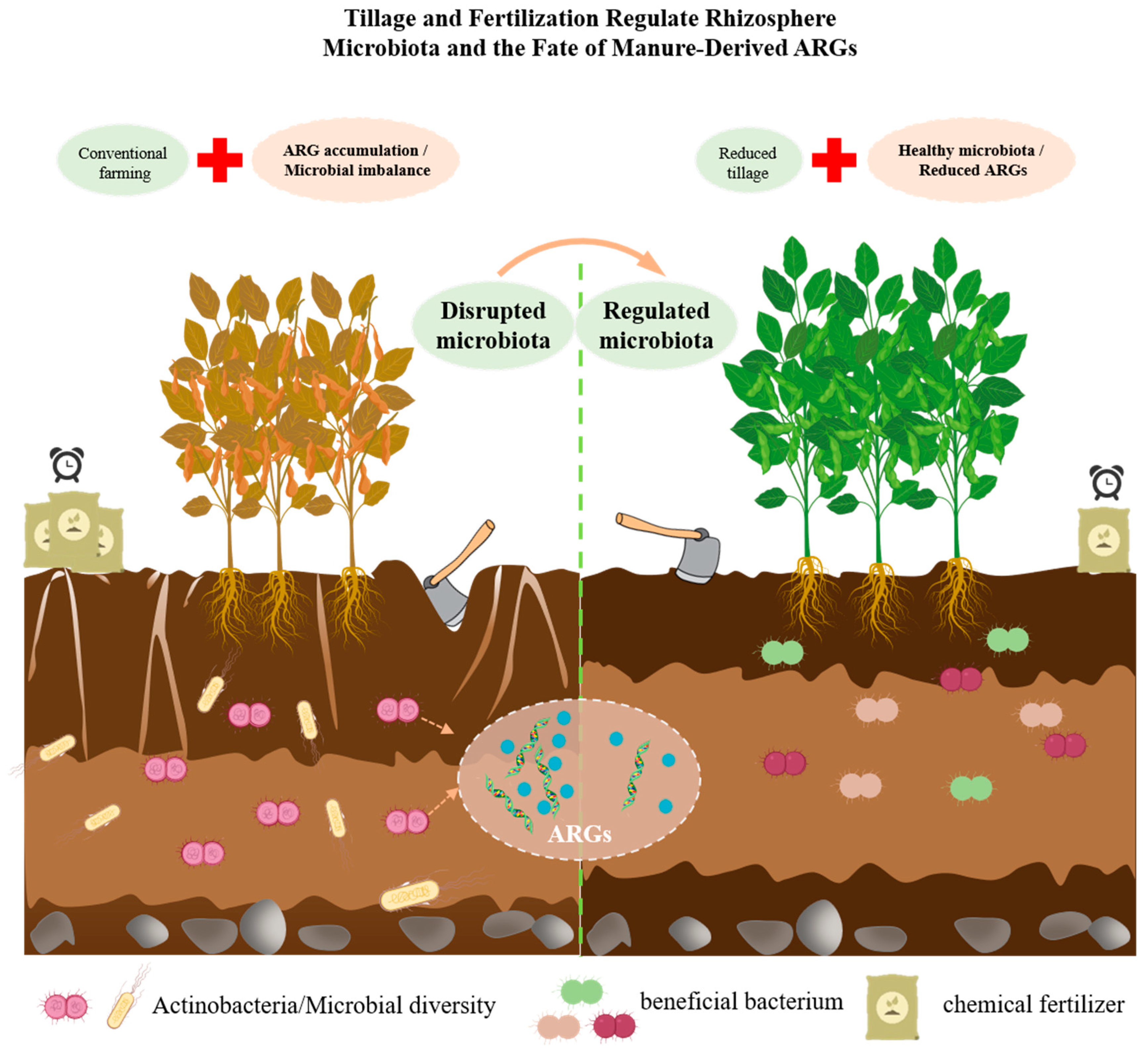 Antibiotics 14 01117 g002