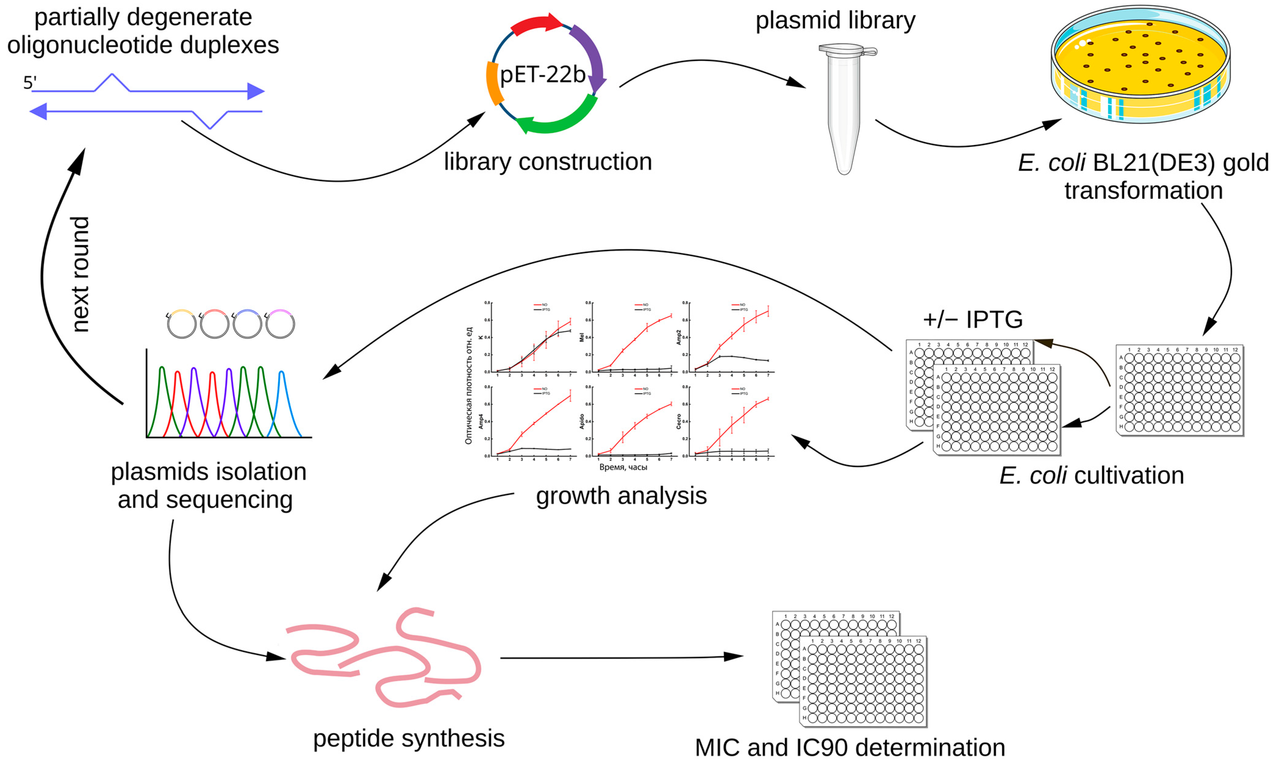 Antibiotics 14 01120 g001