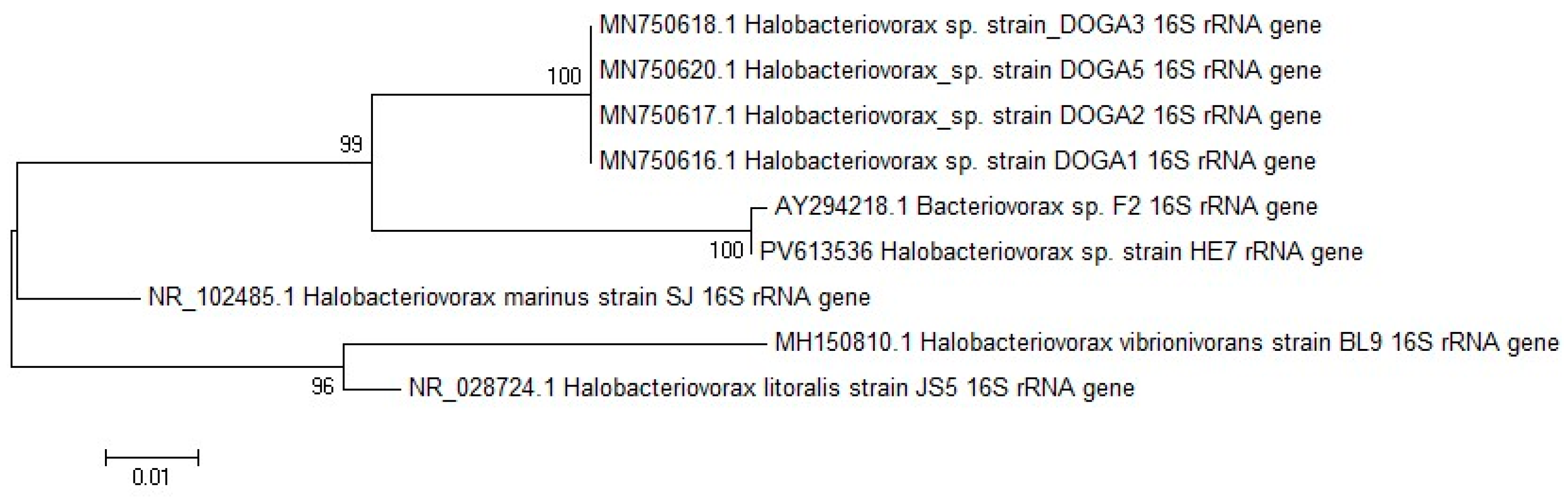 Antibiotics 14 01133 g001 Antibiotics 14 01133 g001