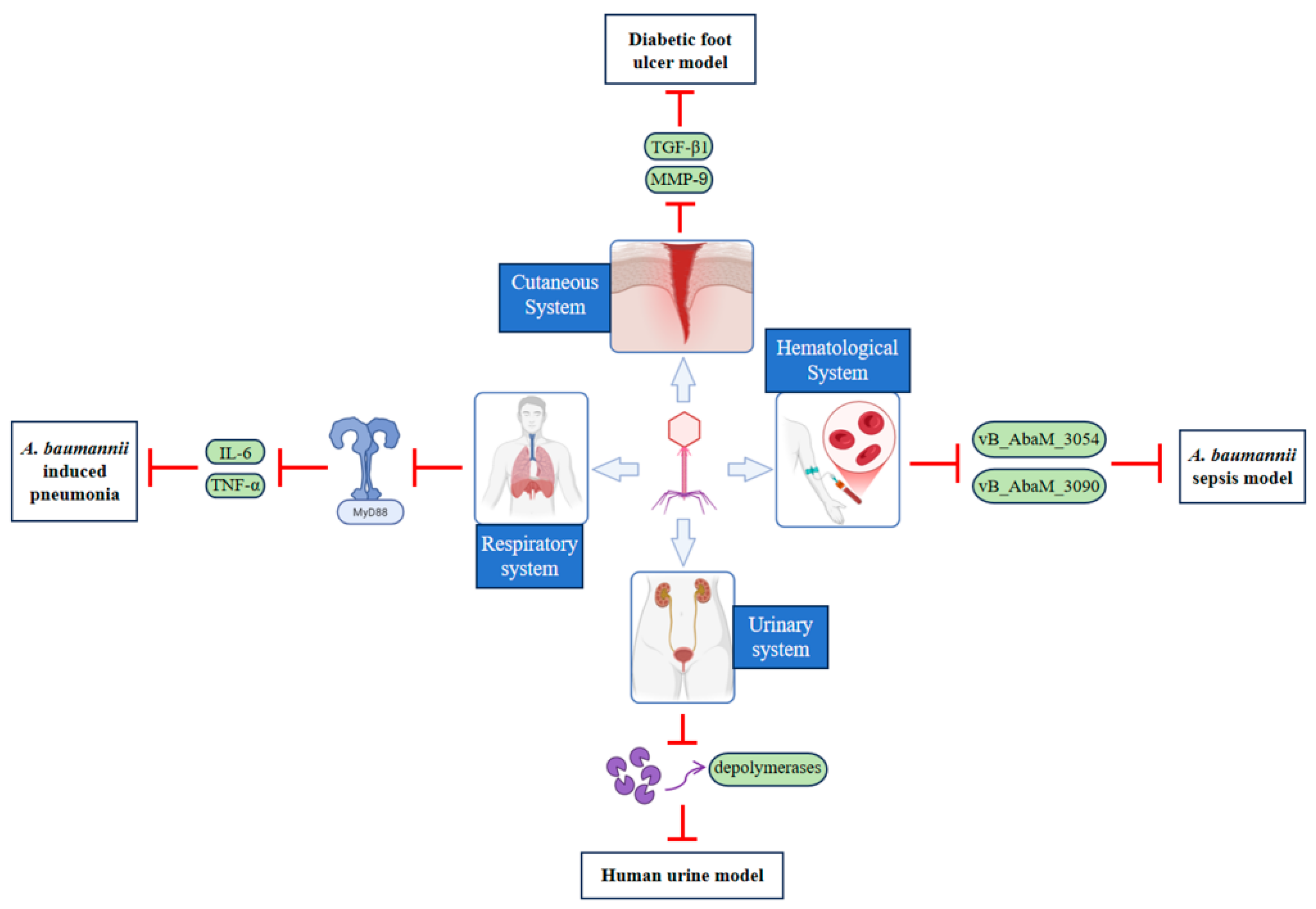 Antibiotics 14 01134 g002