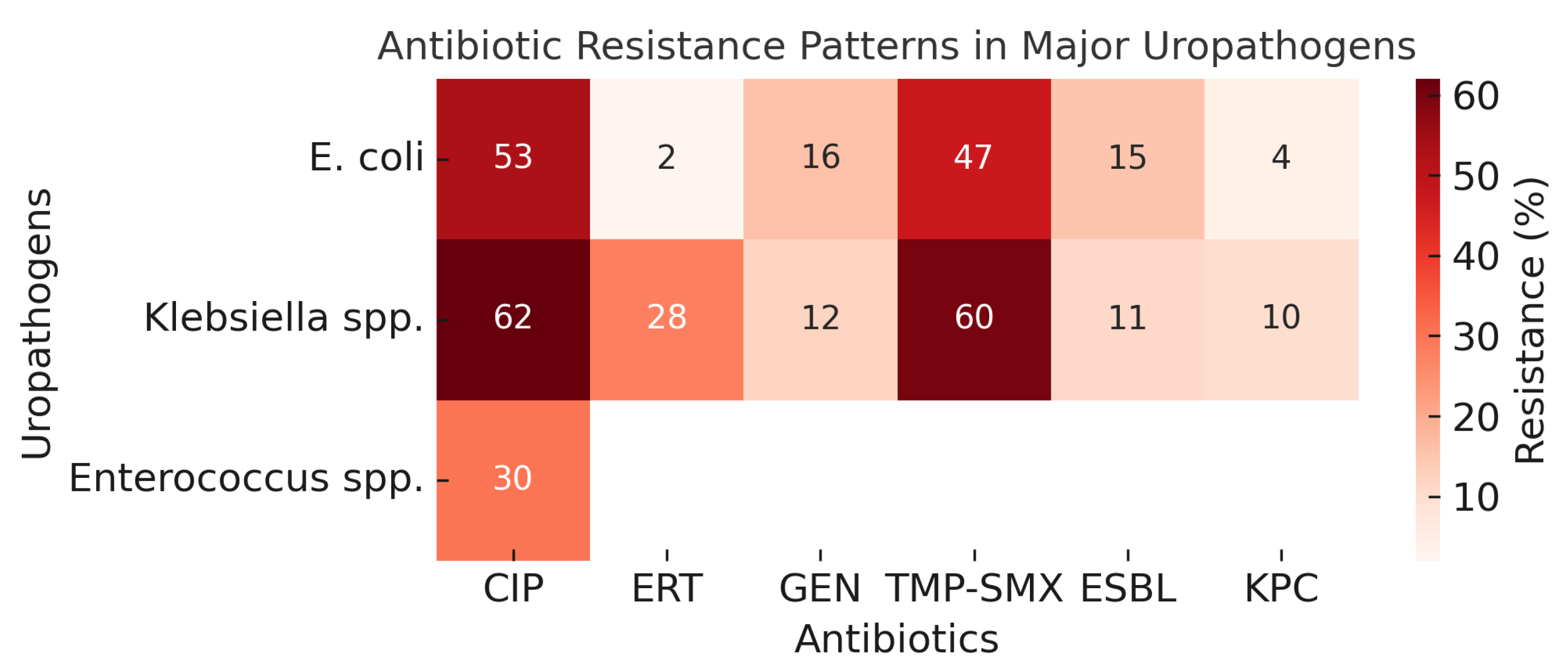Antibiotics 14 01135 g001