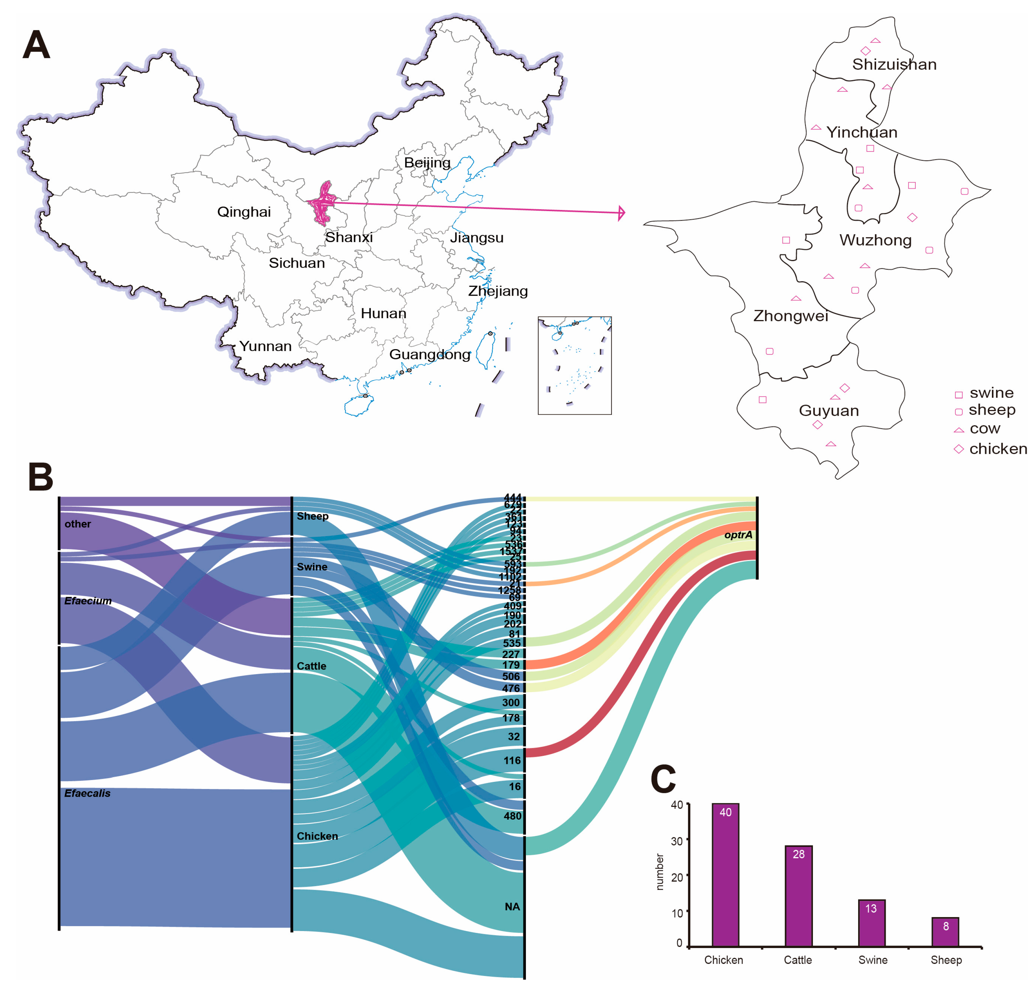 Antibiotics 14 01137 g001