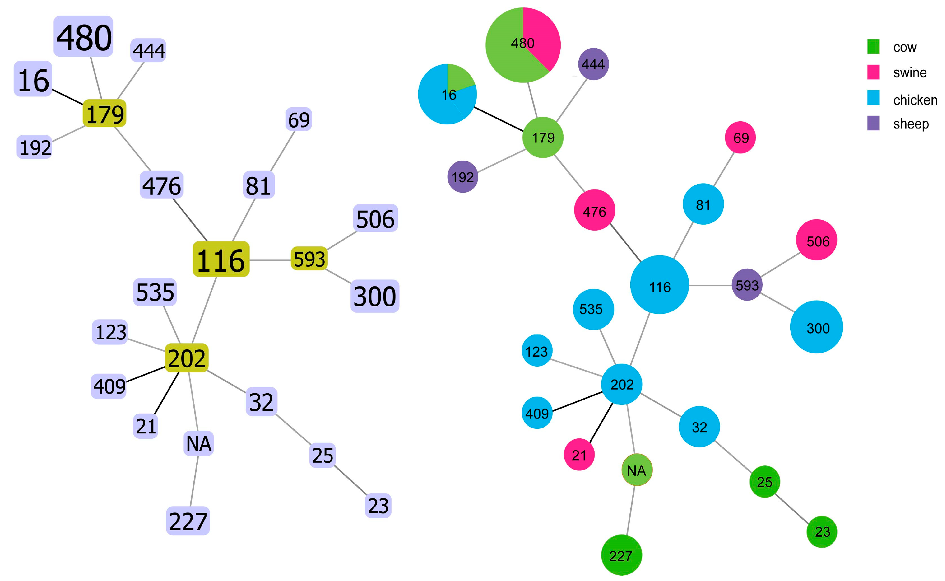 Antibiotics 14 01137 g004