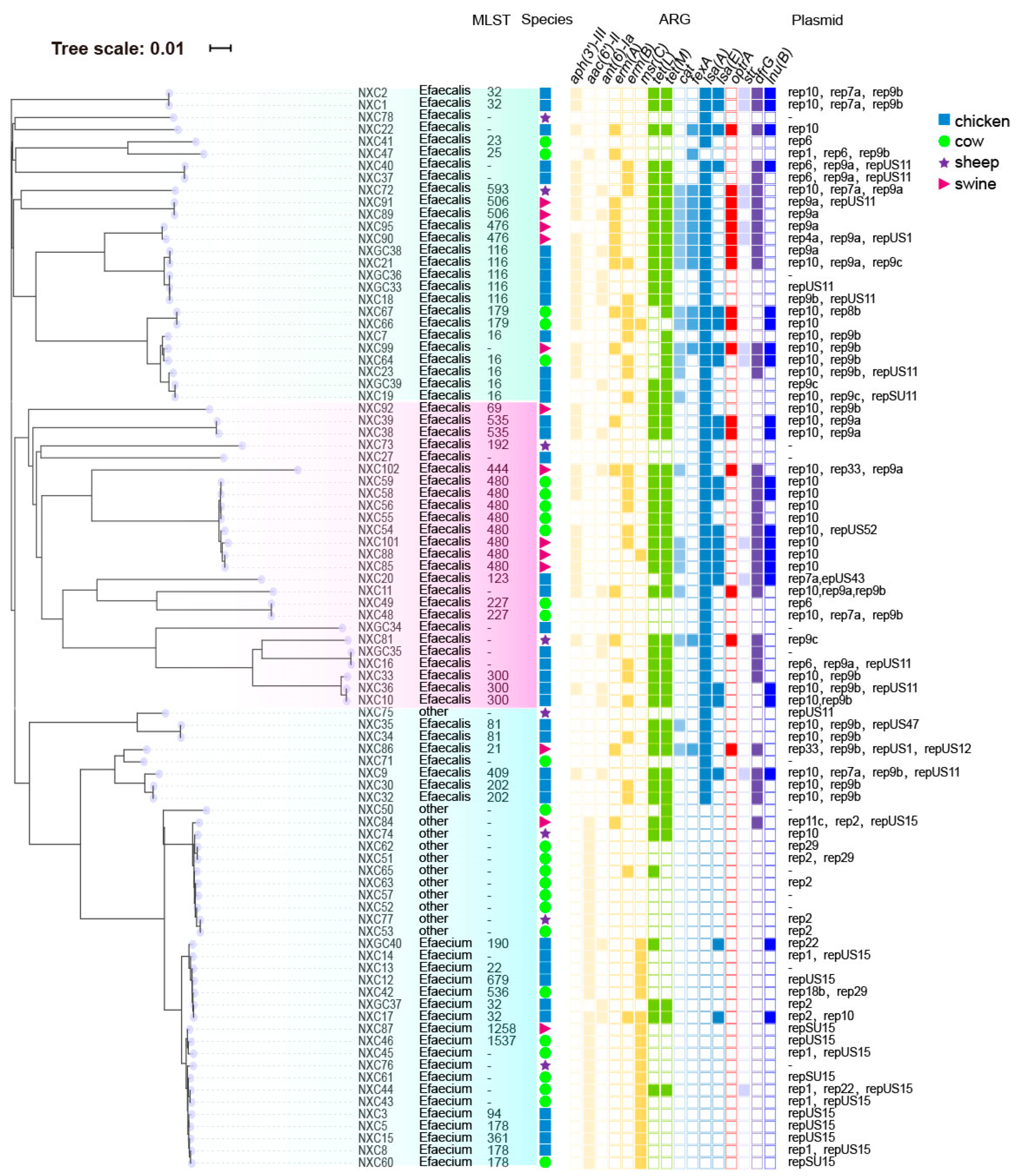 Antibiotics 14 01137 g005