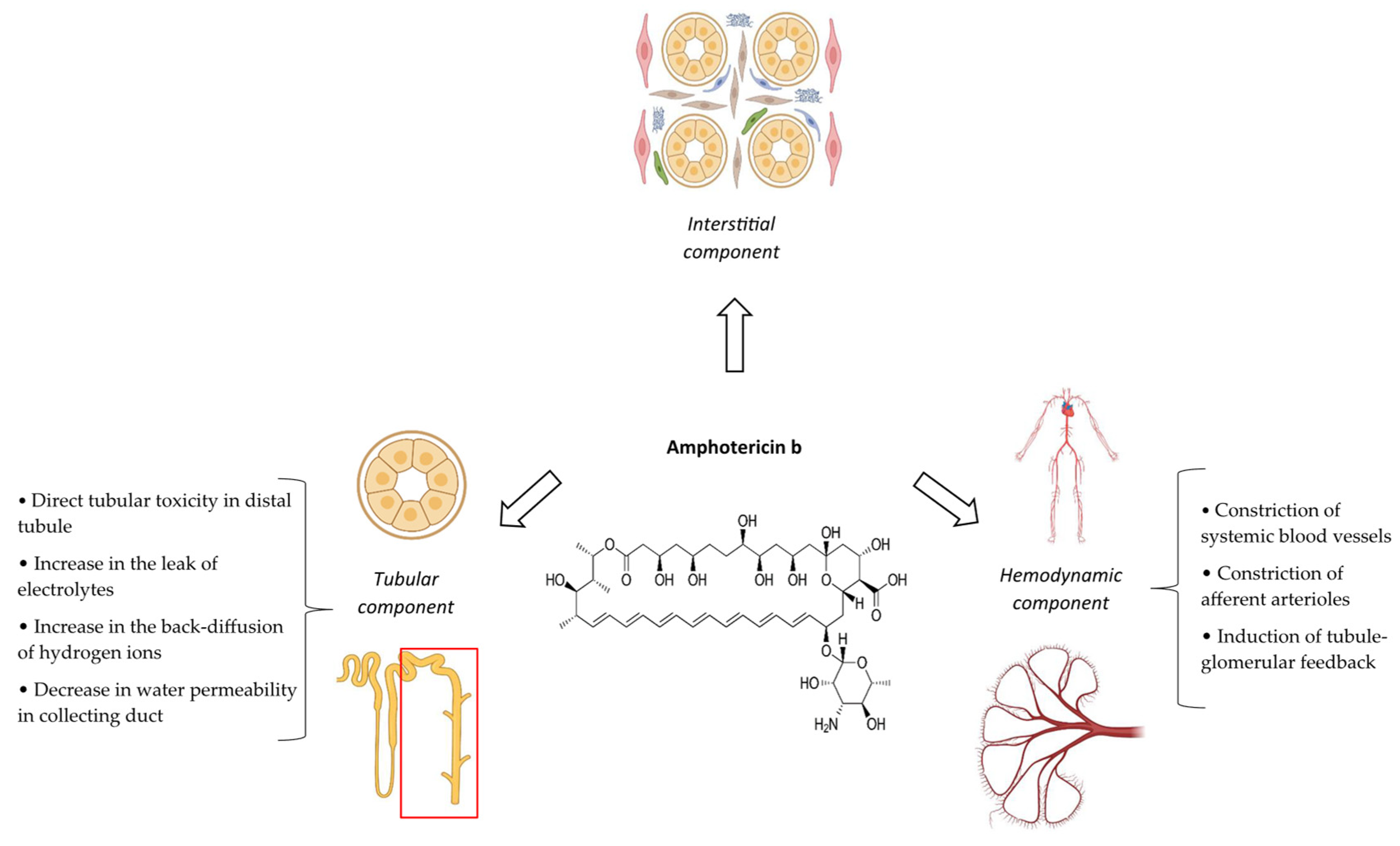 Antibiotics 14 01138 g001