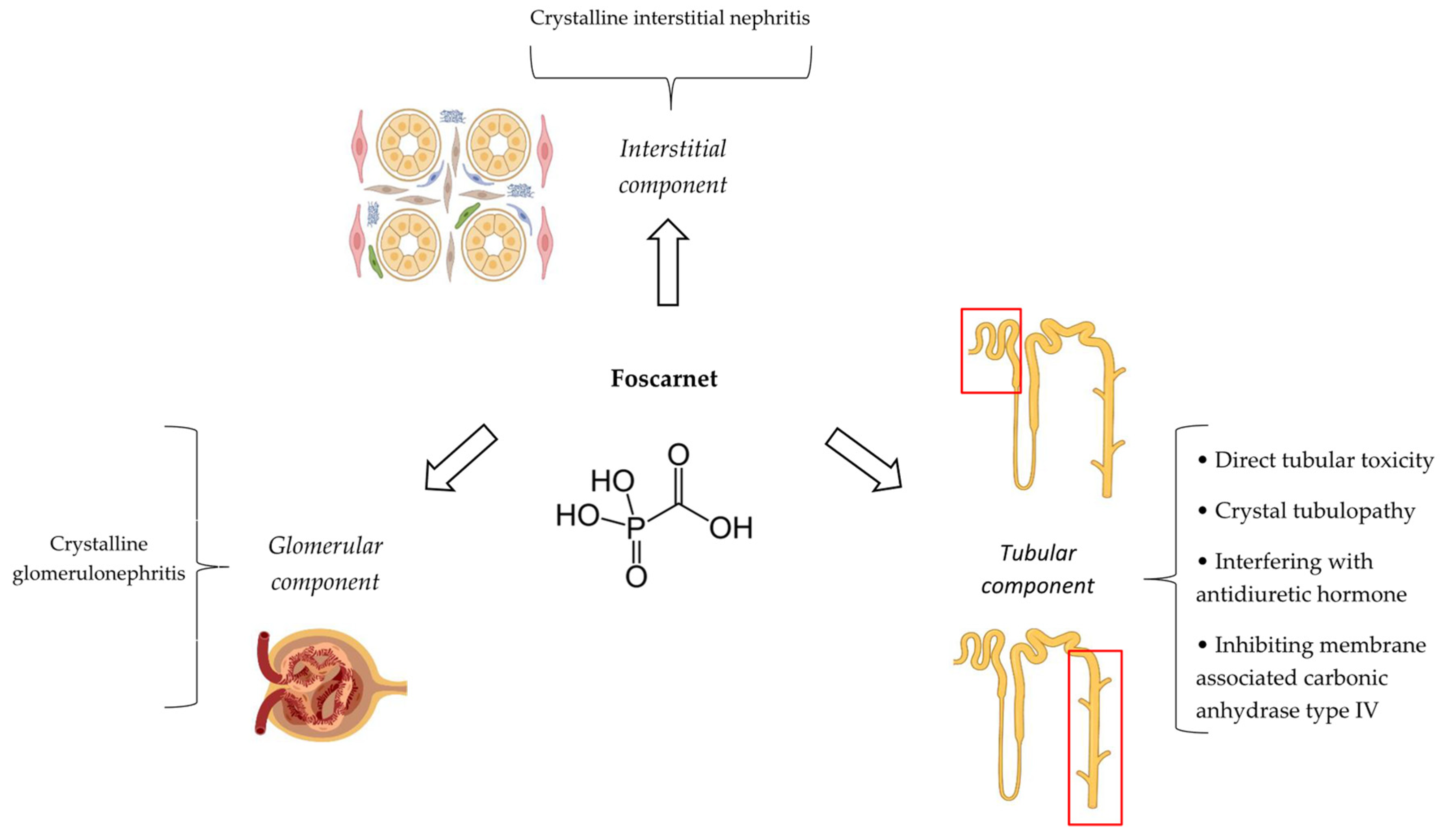 Antibiotics 14 01138 g004