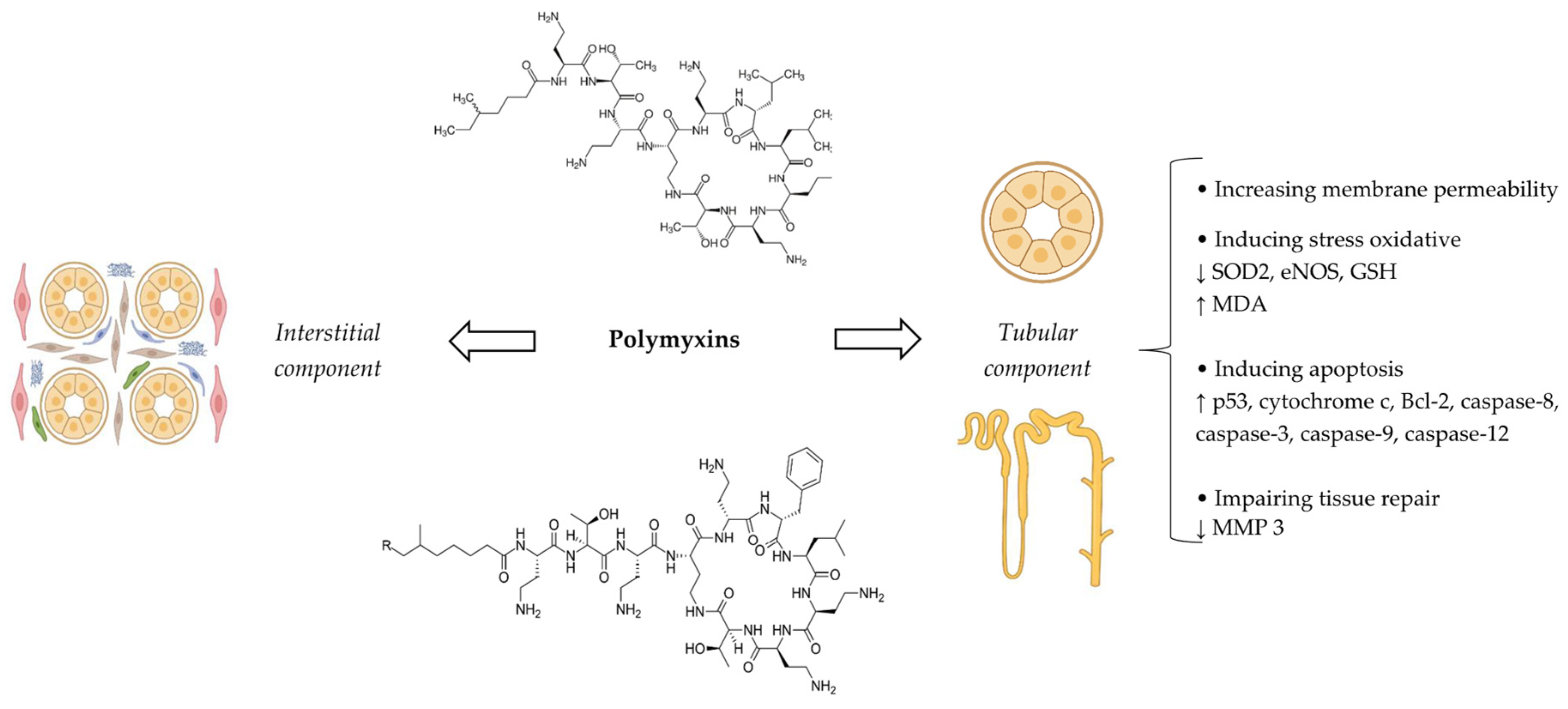 Antibiotics 14 01138 g005