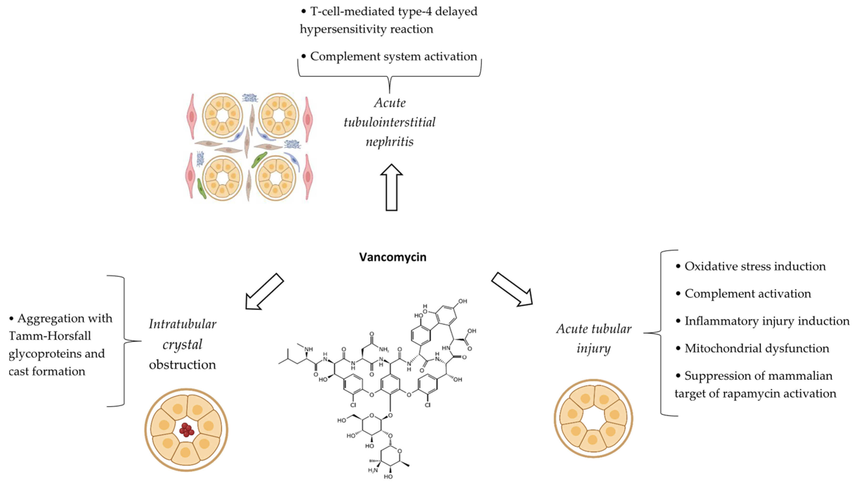 Antibiotics 14 01138 g006