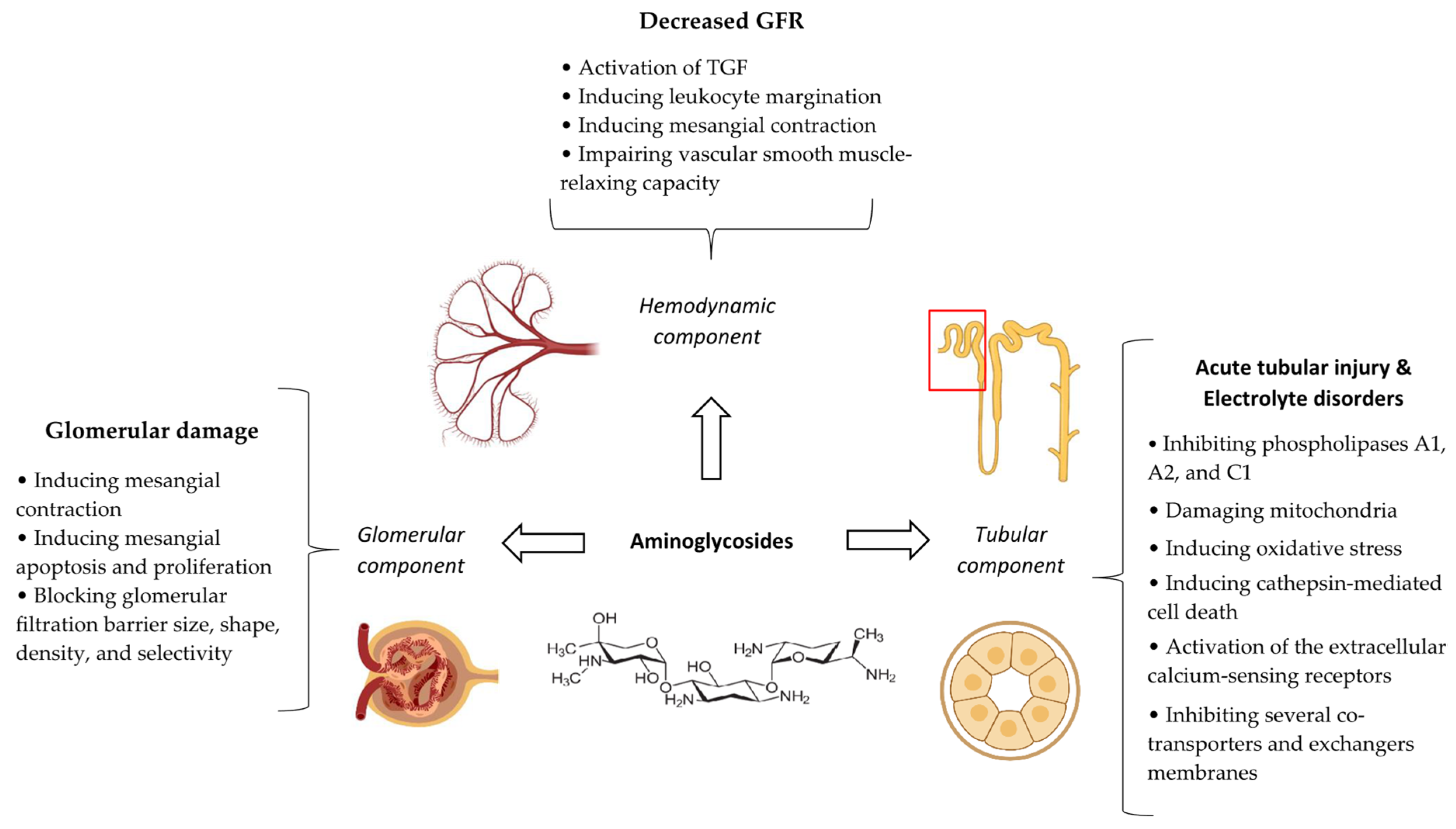 Antibiotics 14 01138 g007