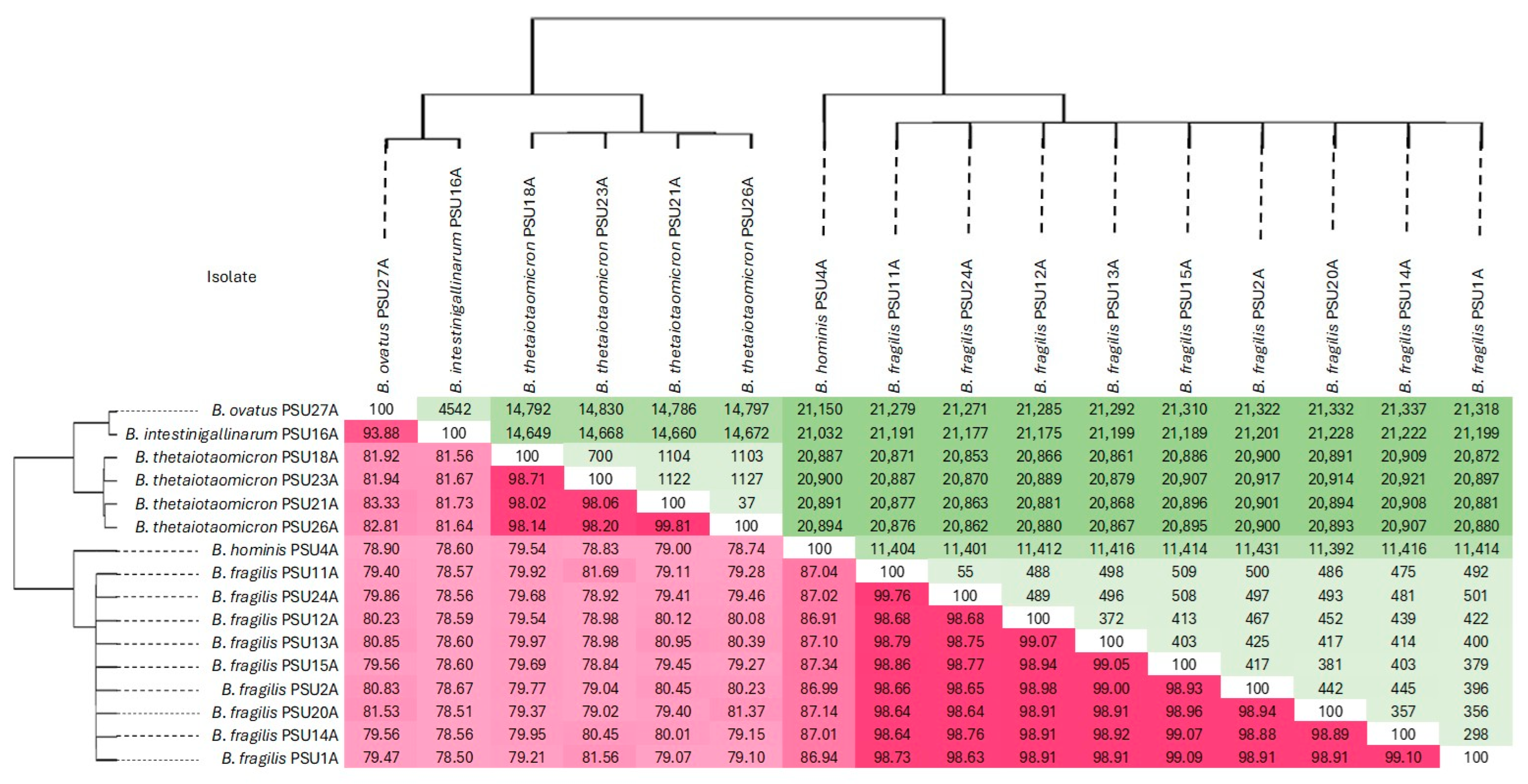 Antibiotics 14 01143 g001