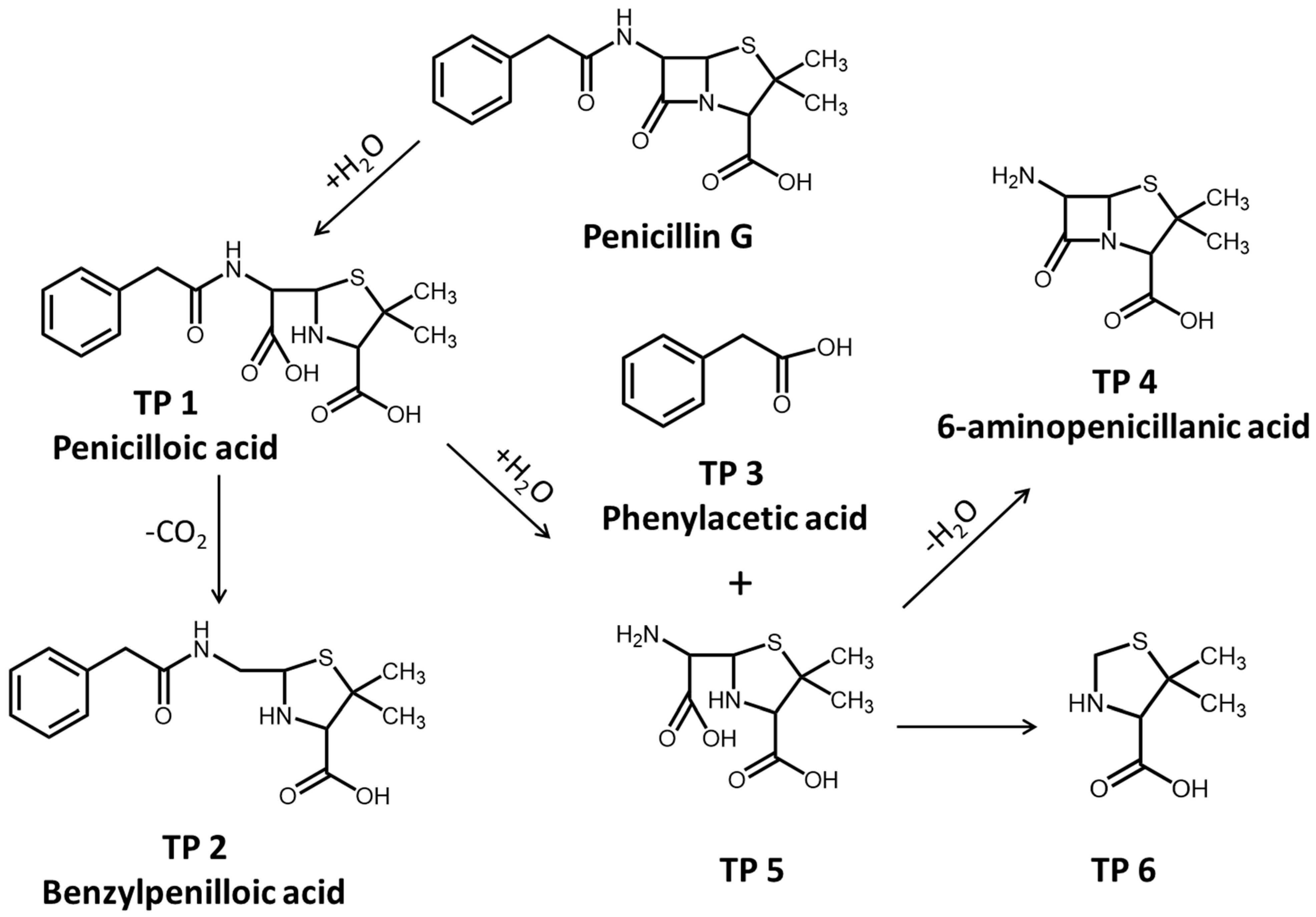 Antibiotics 14 01144 g003