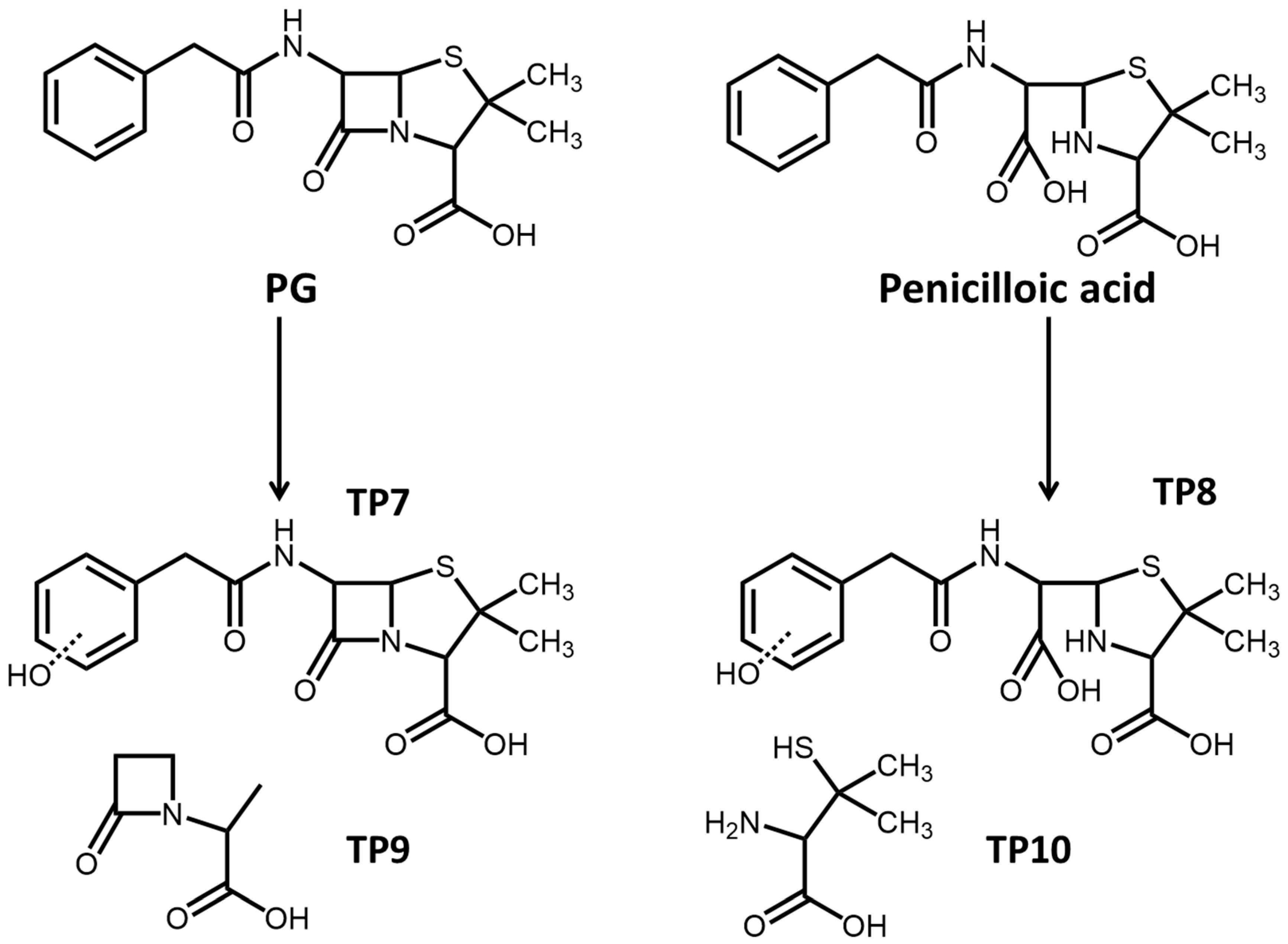 Antibiotics 14 01144 g004