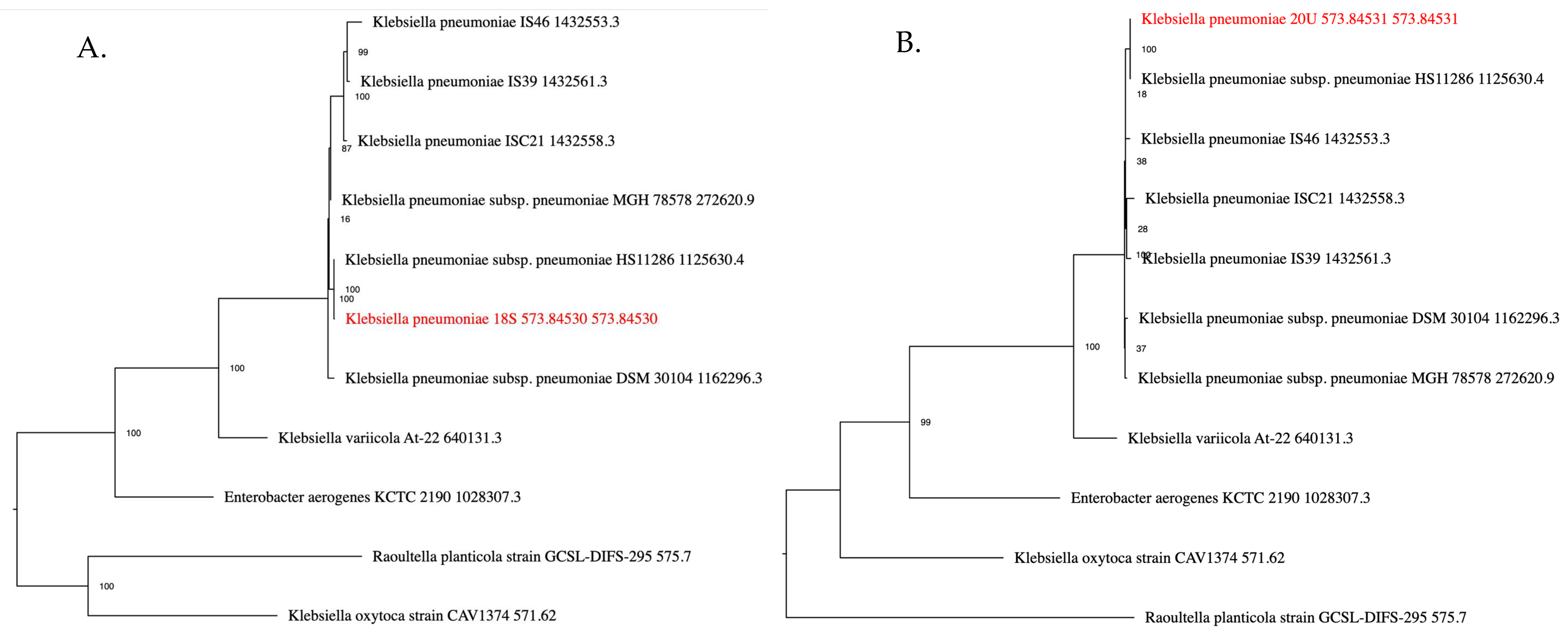 Antibiotics 14 01146 g001 Antibiotics 14 01146 g001