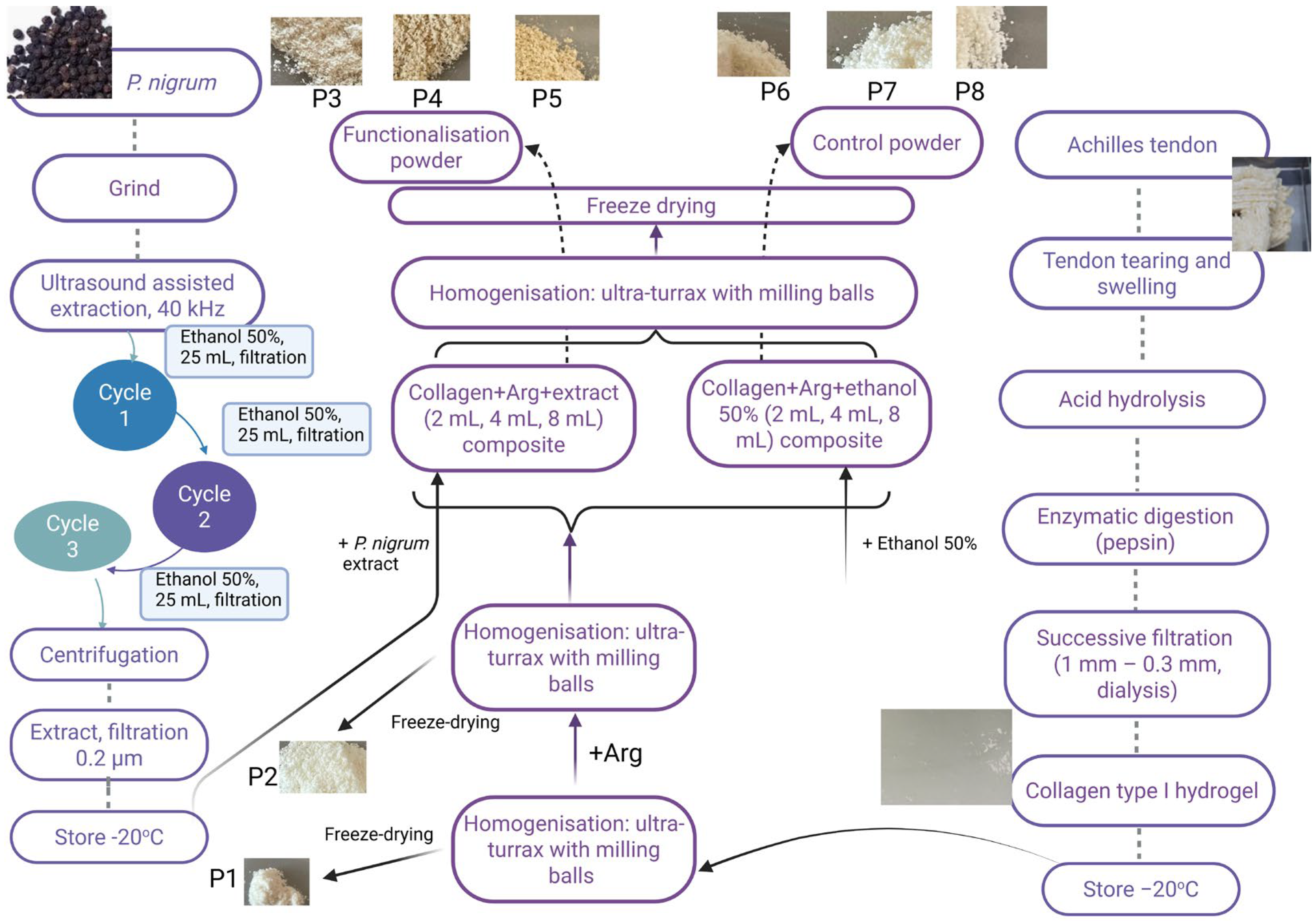 Antibiotics 14 01166 g003