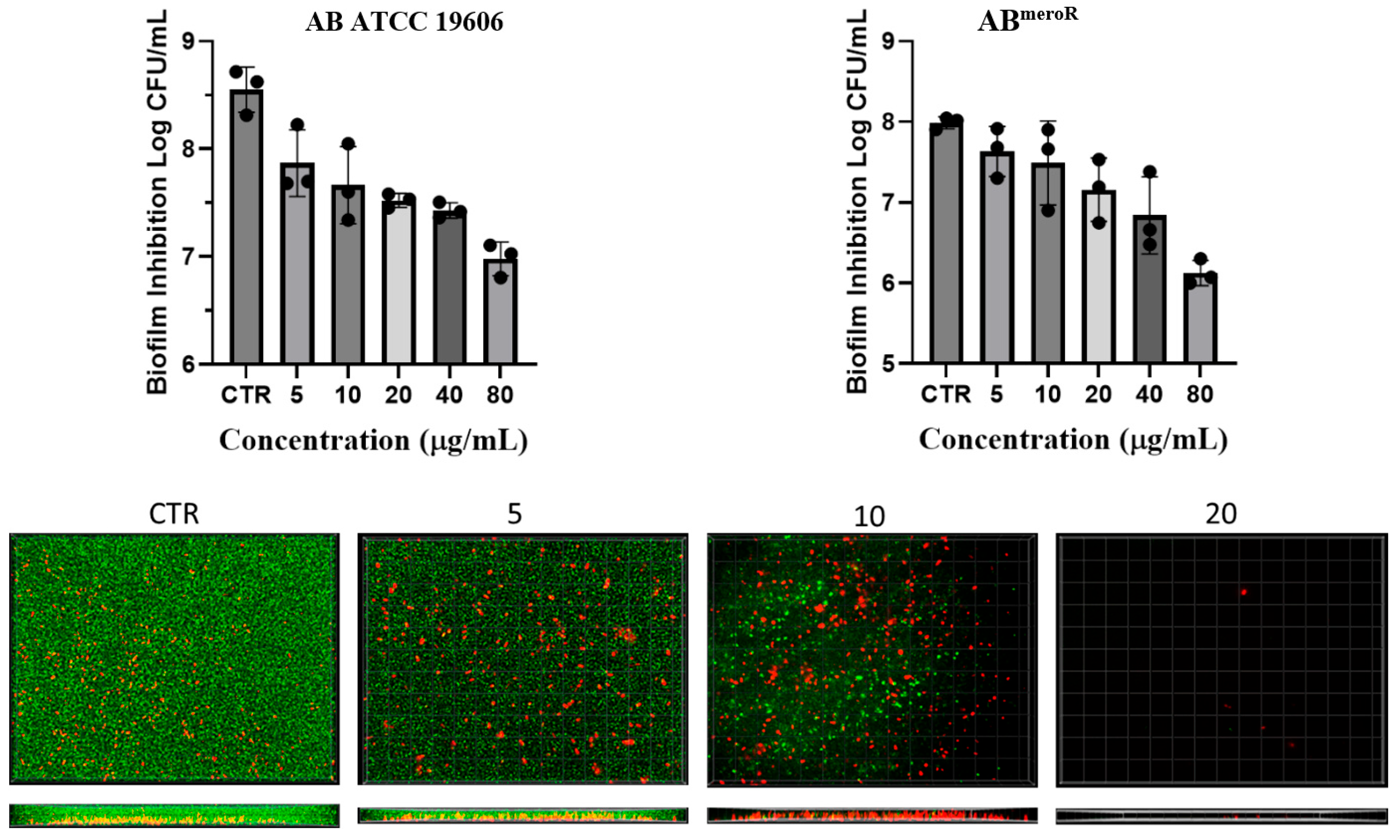 Antibiotics 14 01175 g004