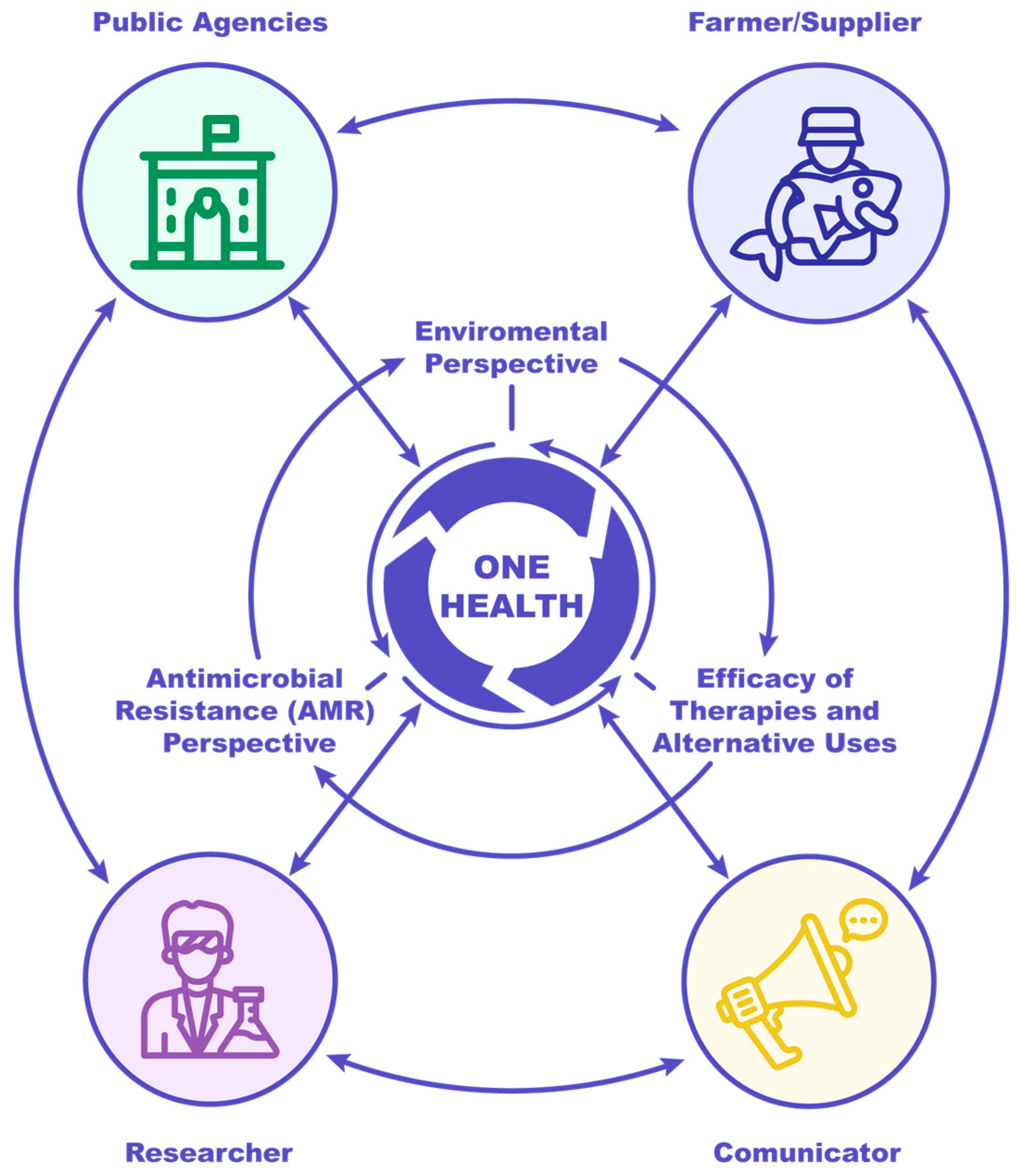 Antibiotics 14 01177 g002