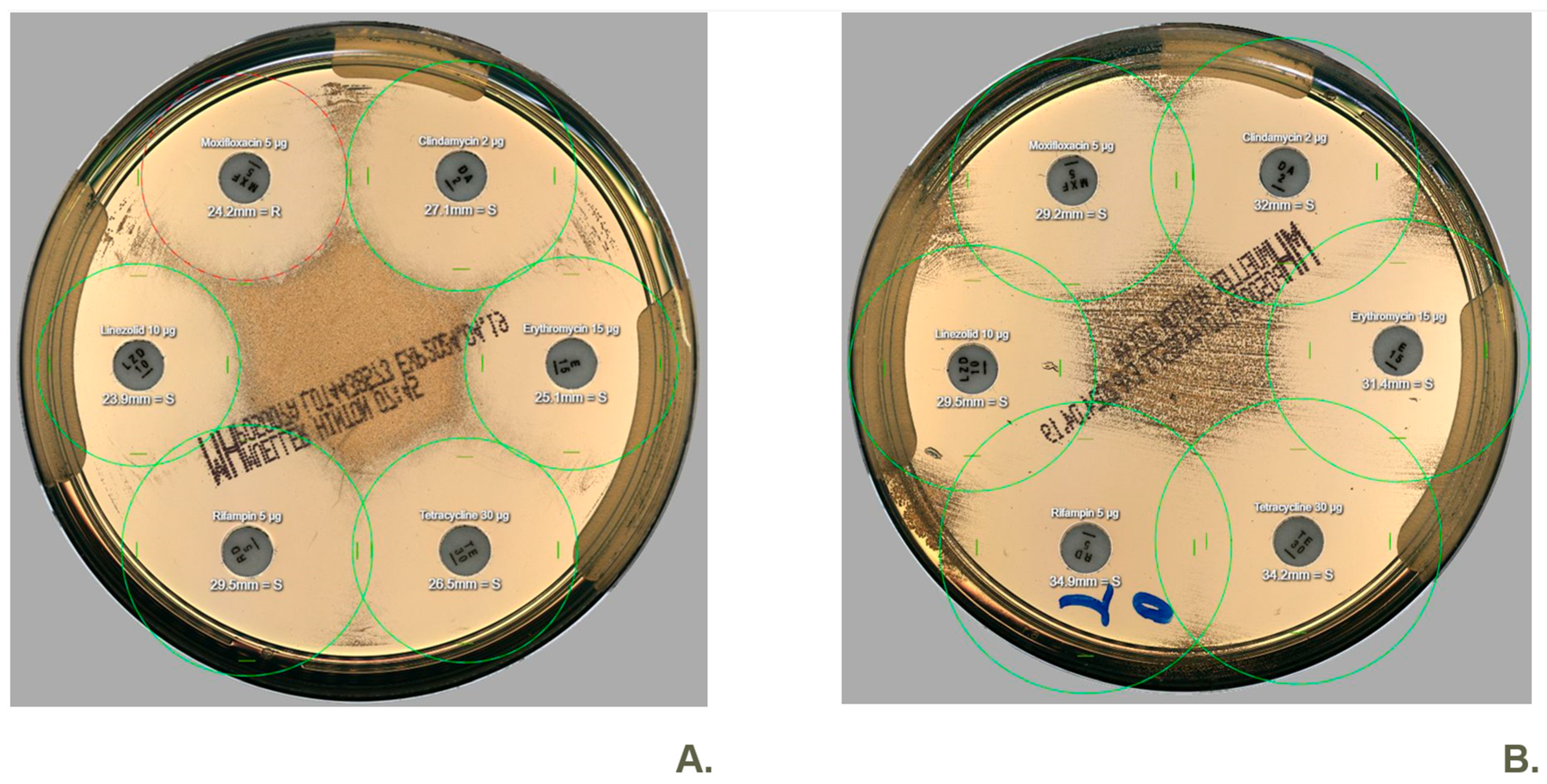 Antibiotics 14 01178 g001
