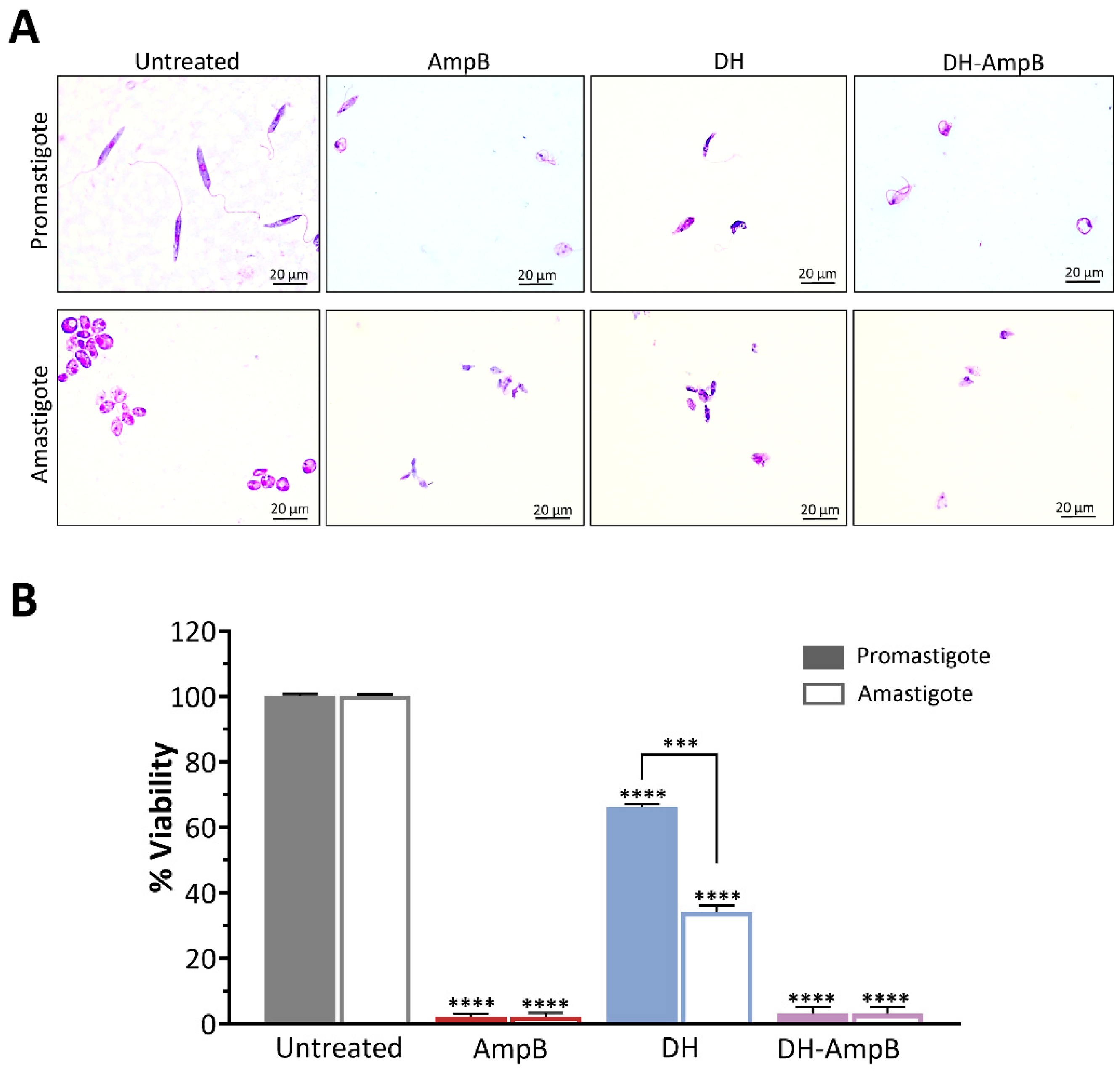 Antibiotics 14 01182 g007