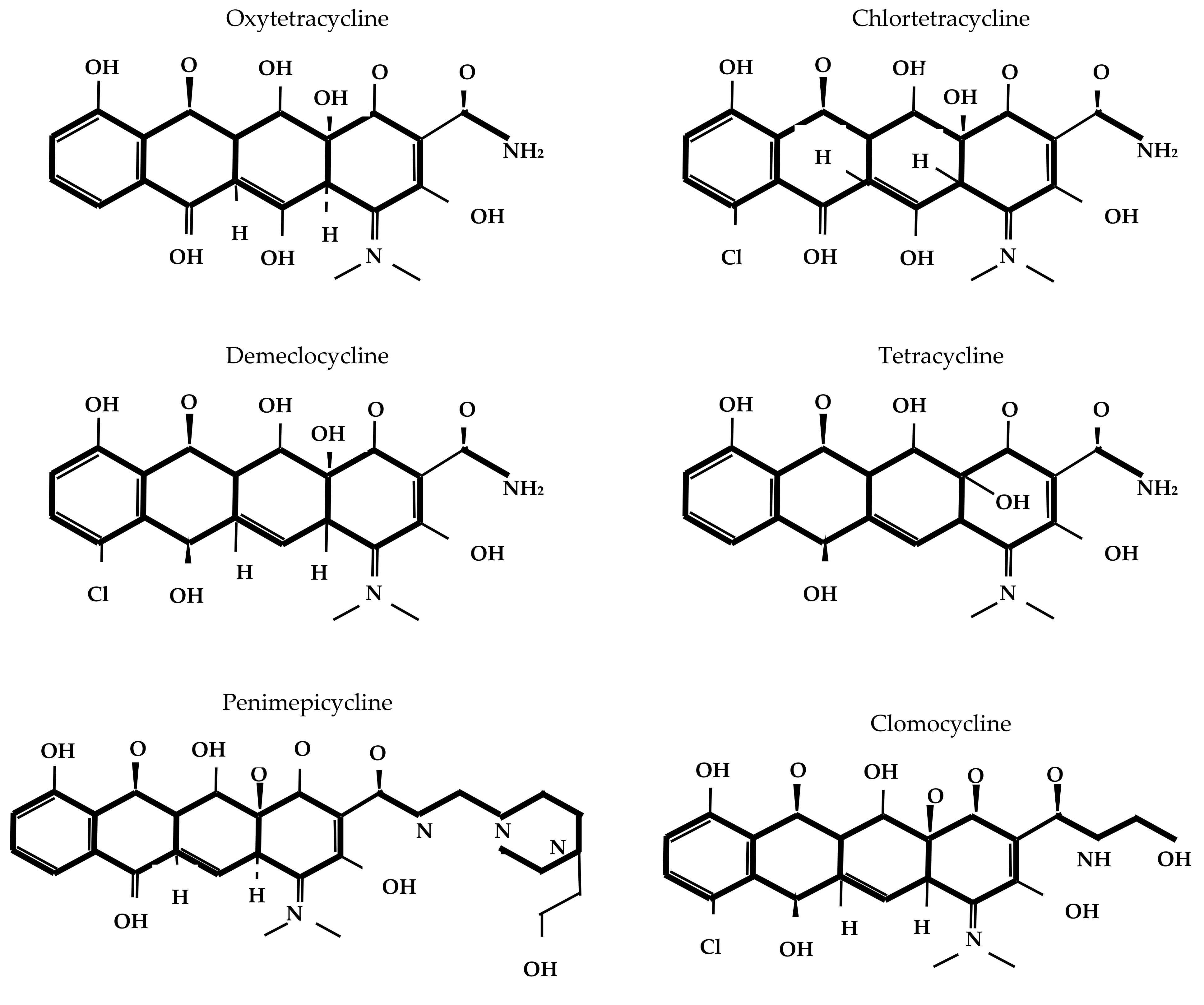 Antibiotics 14 01183 g001a