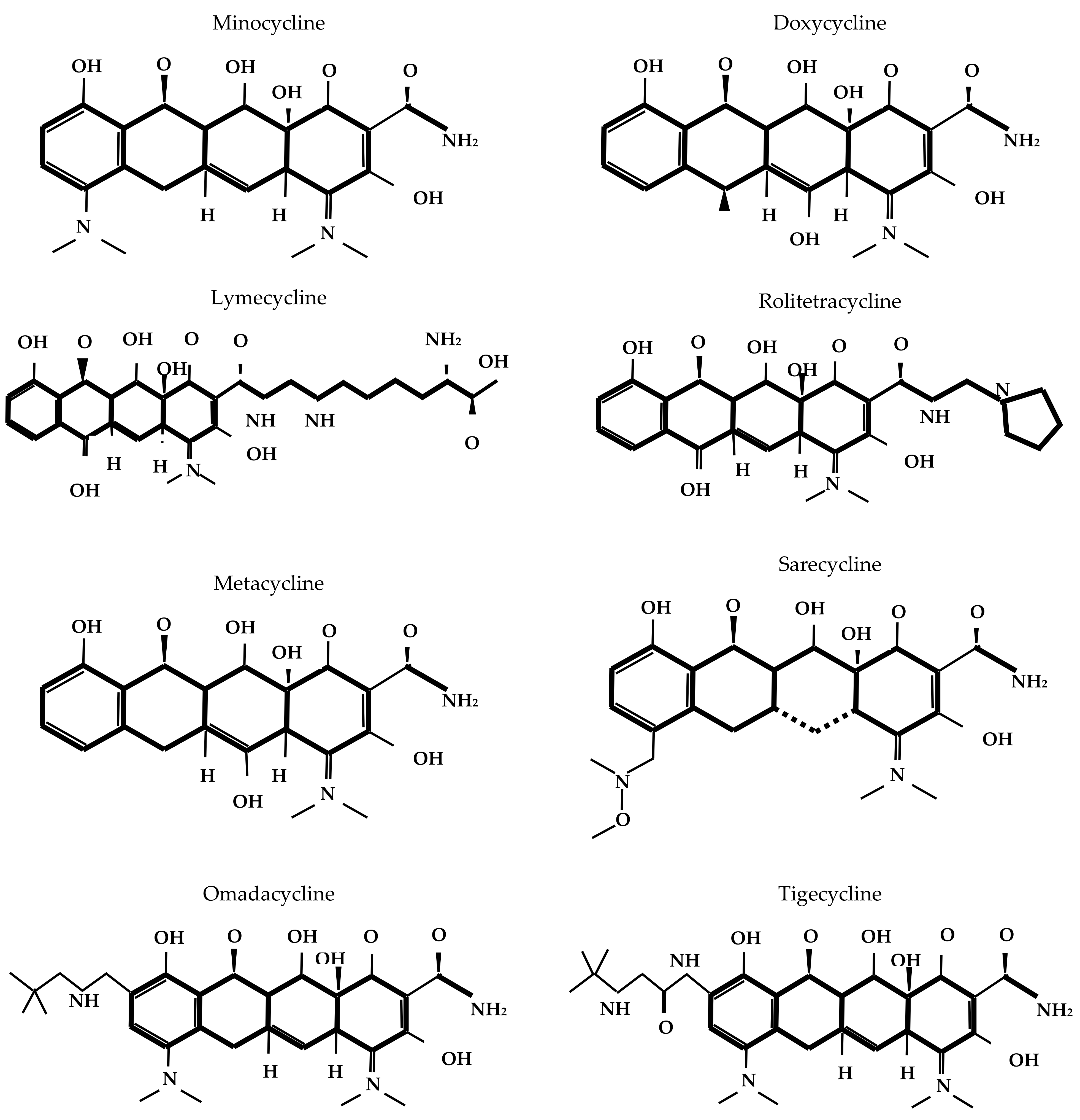 Antibiotics 14 01183 g001b