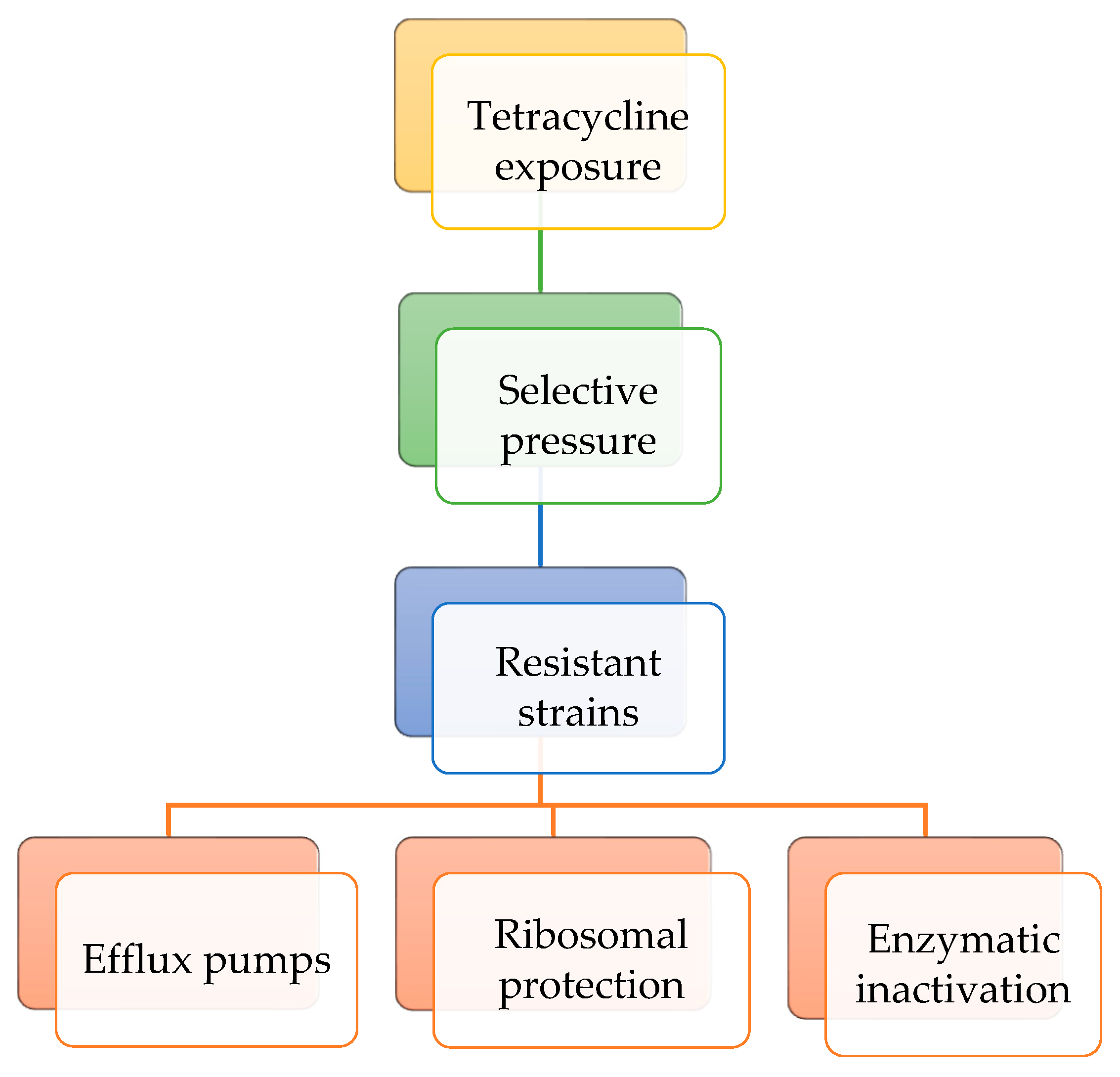 Antibiotics 14 01183 g005