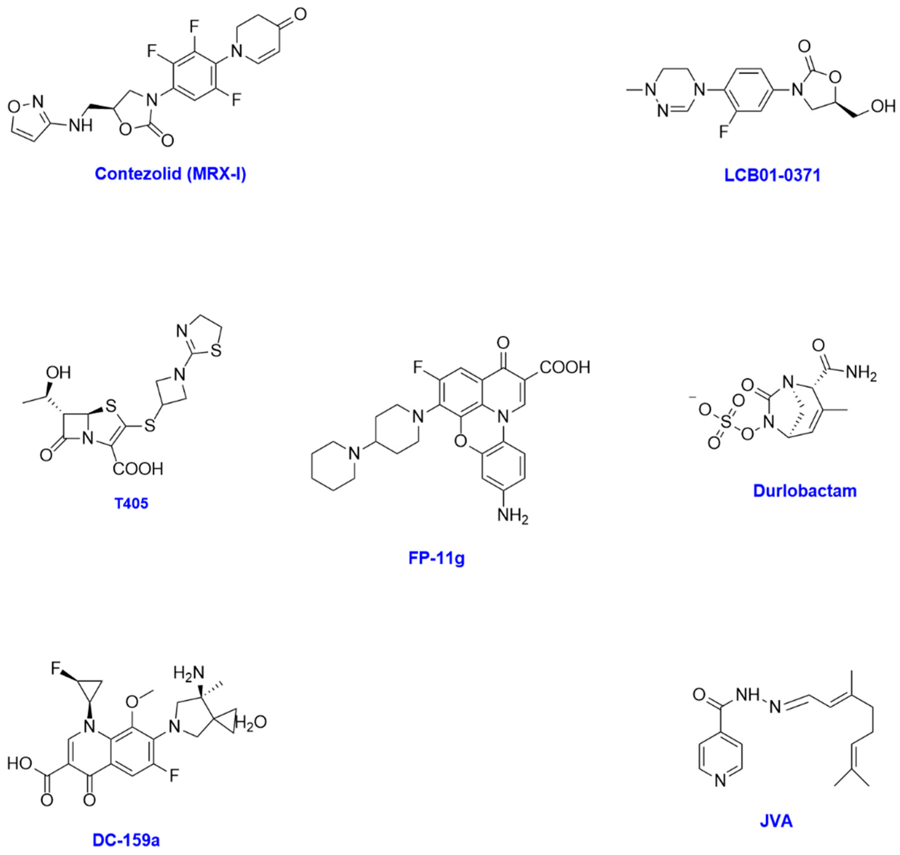 Antibiotics 14 01189 g005