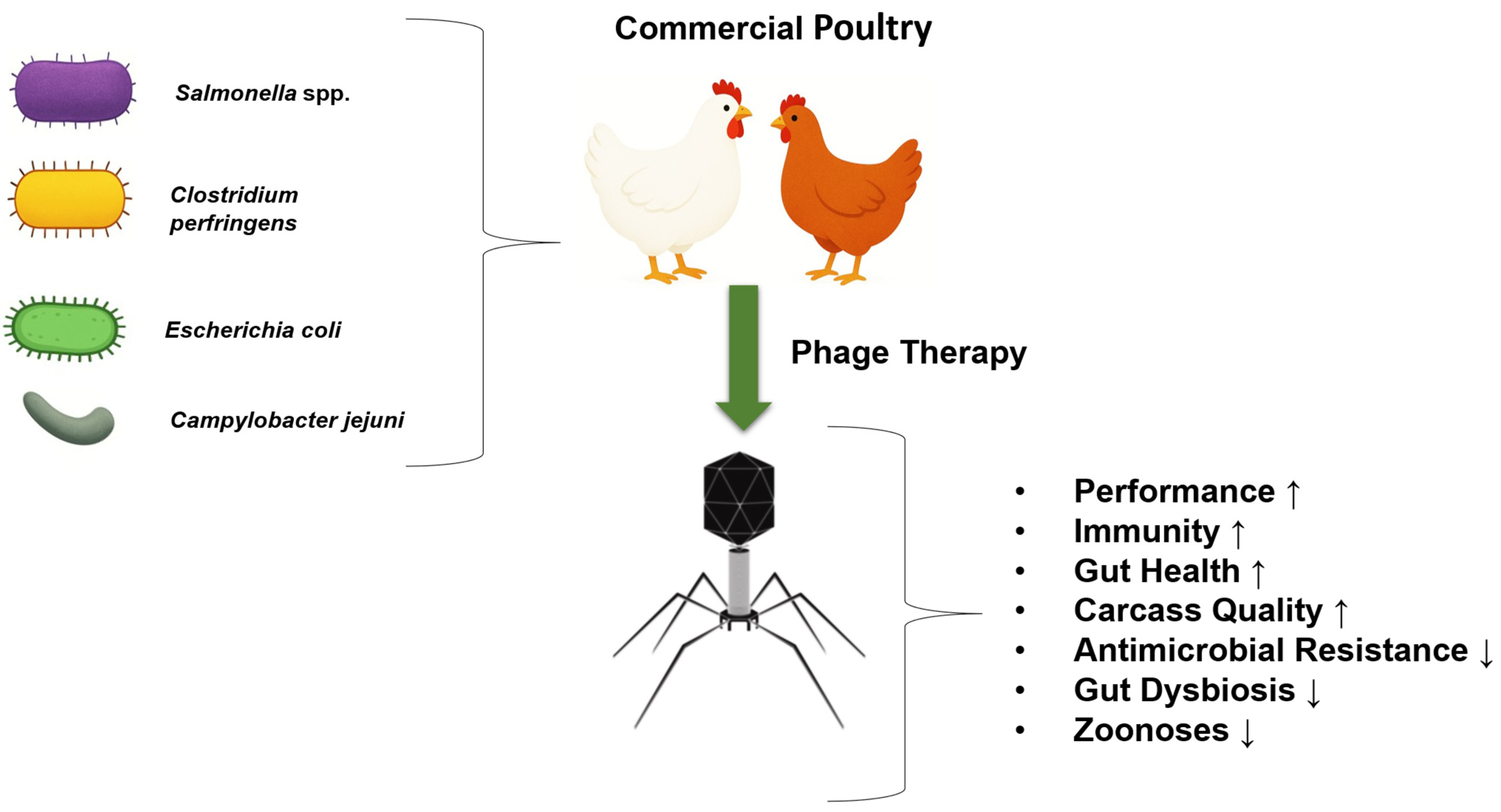 Antibiotics 14 01207 g001 Antibiotics 14 01207 g001