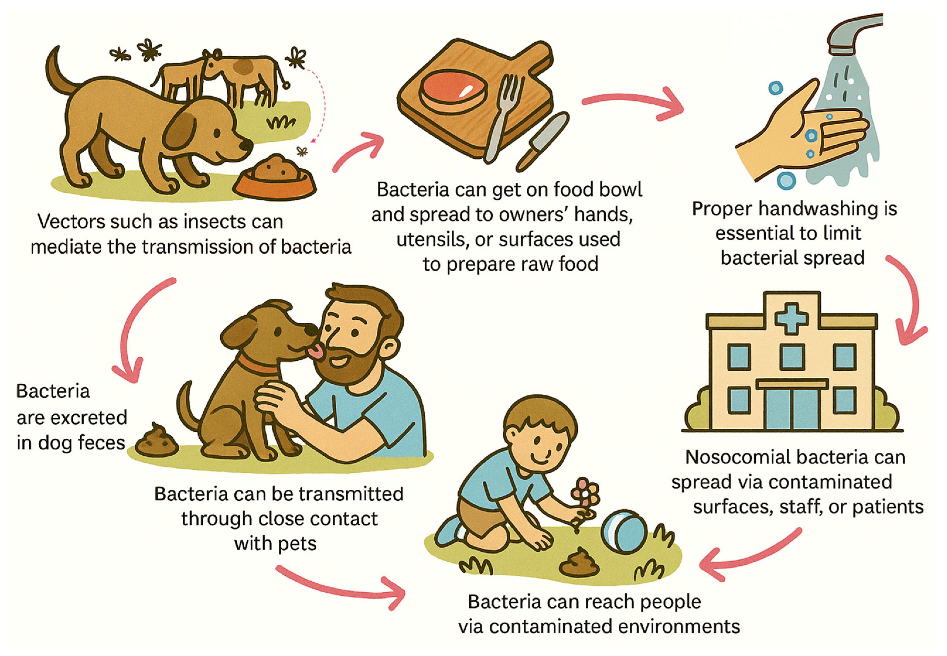 Antibiotics 14 01213 g002
