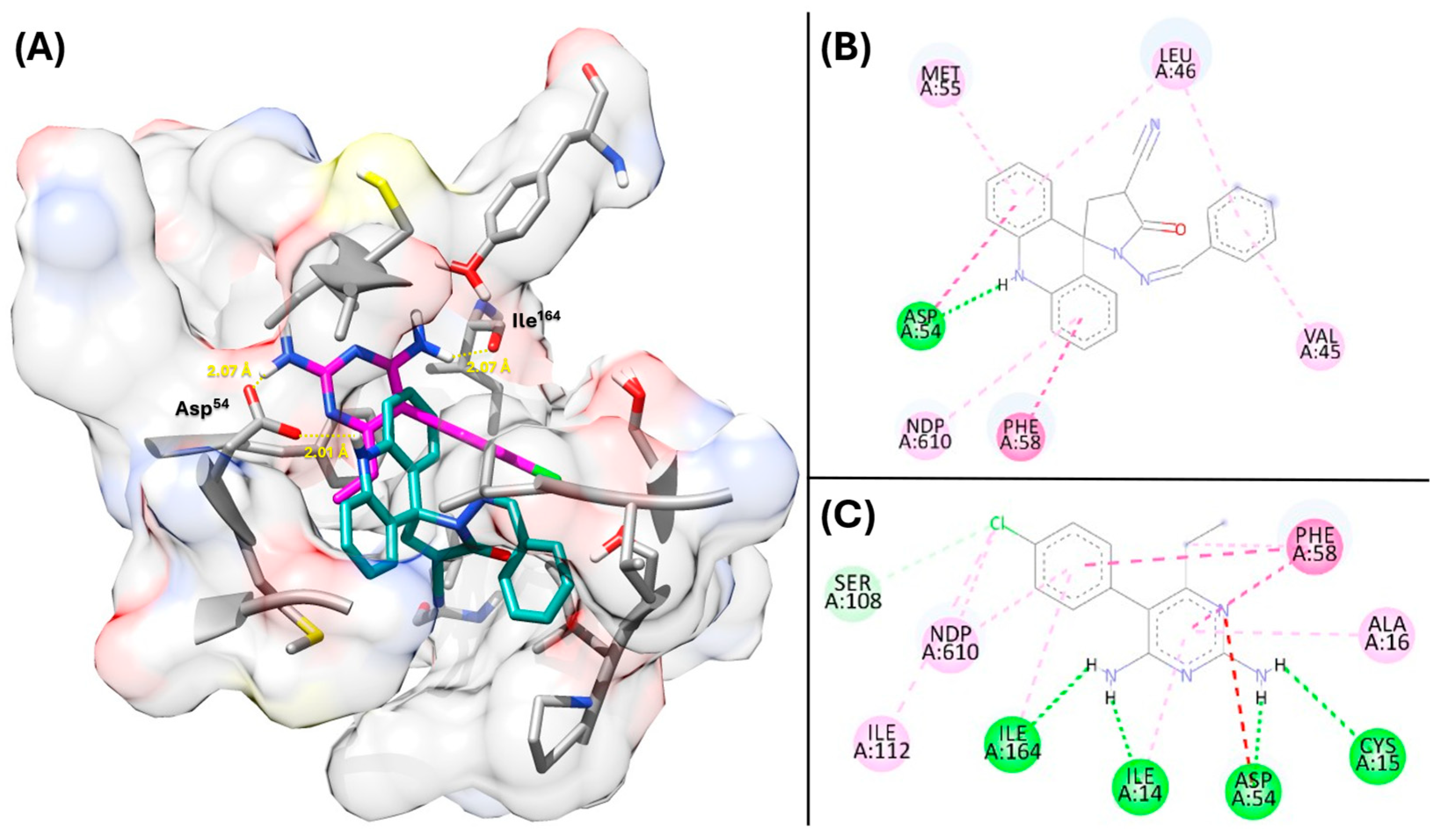 Antibiotics 14 01214 g004