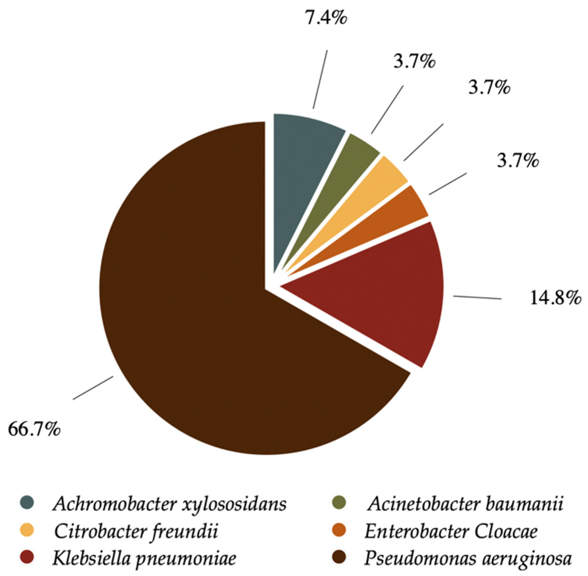 Antibiotics 14 01216 g001