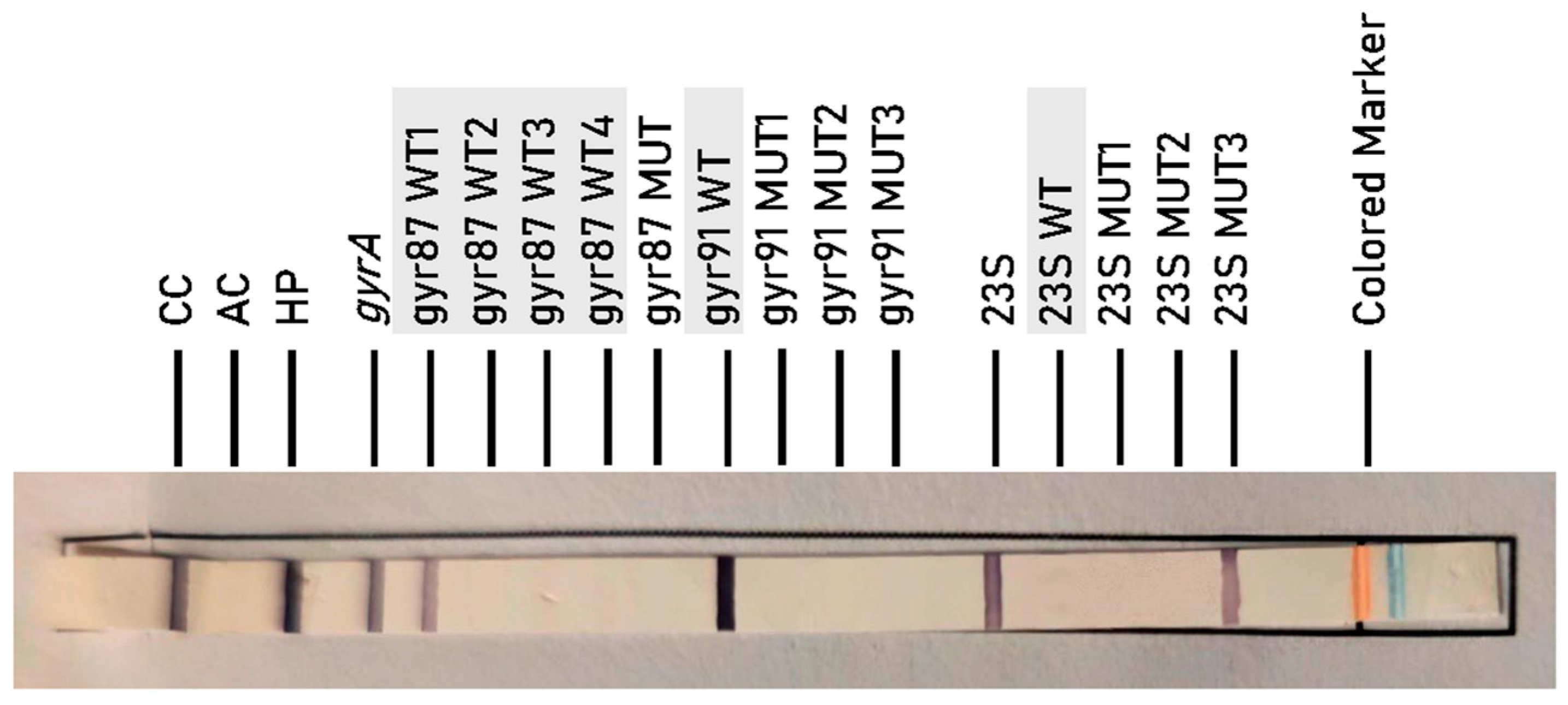 Antibiotics 14 01223 g002 Antibiotics 14 01223 g002
